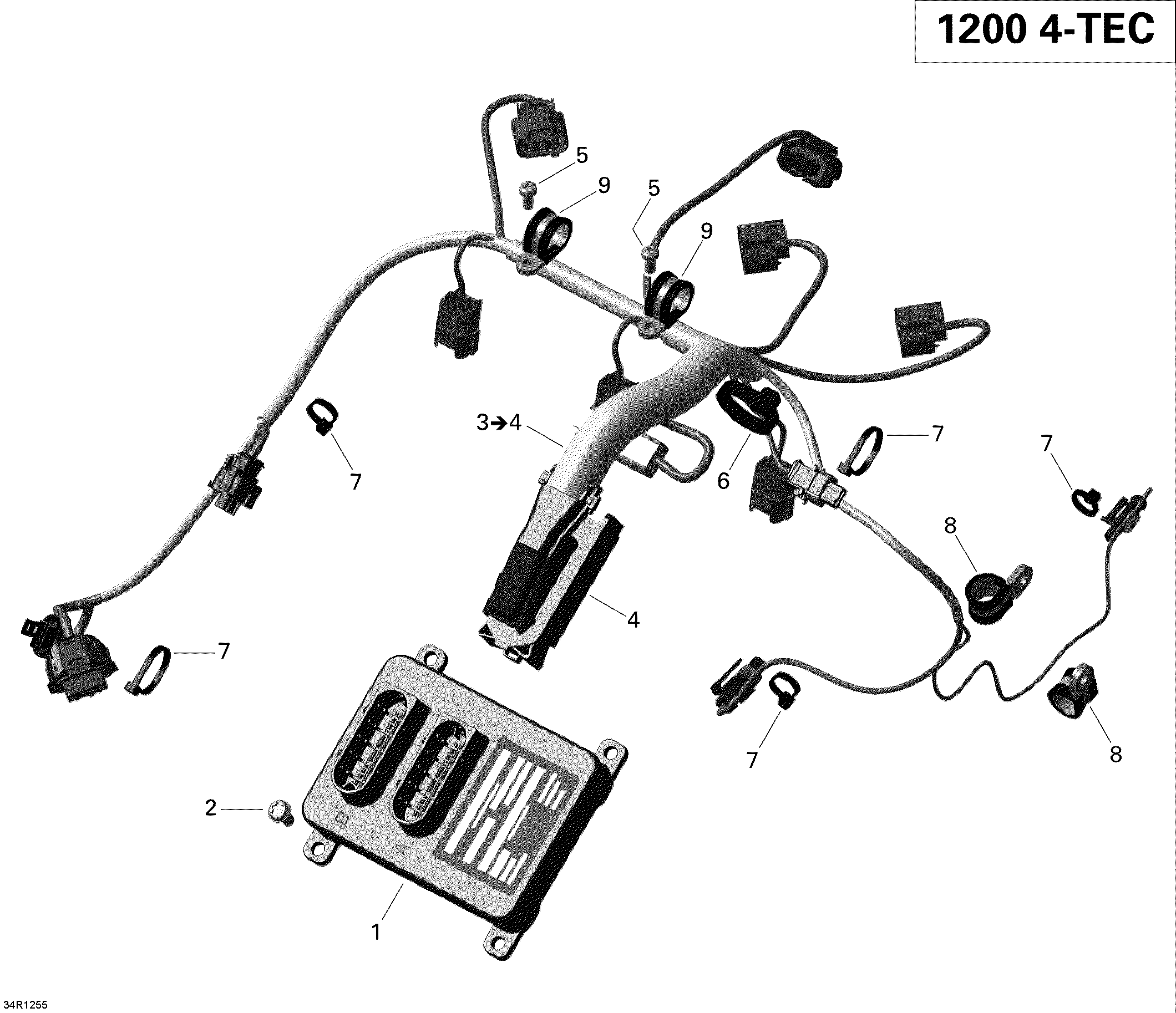 Схема узла: Engine Harness And Electronic Module