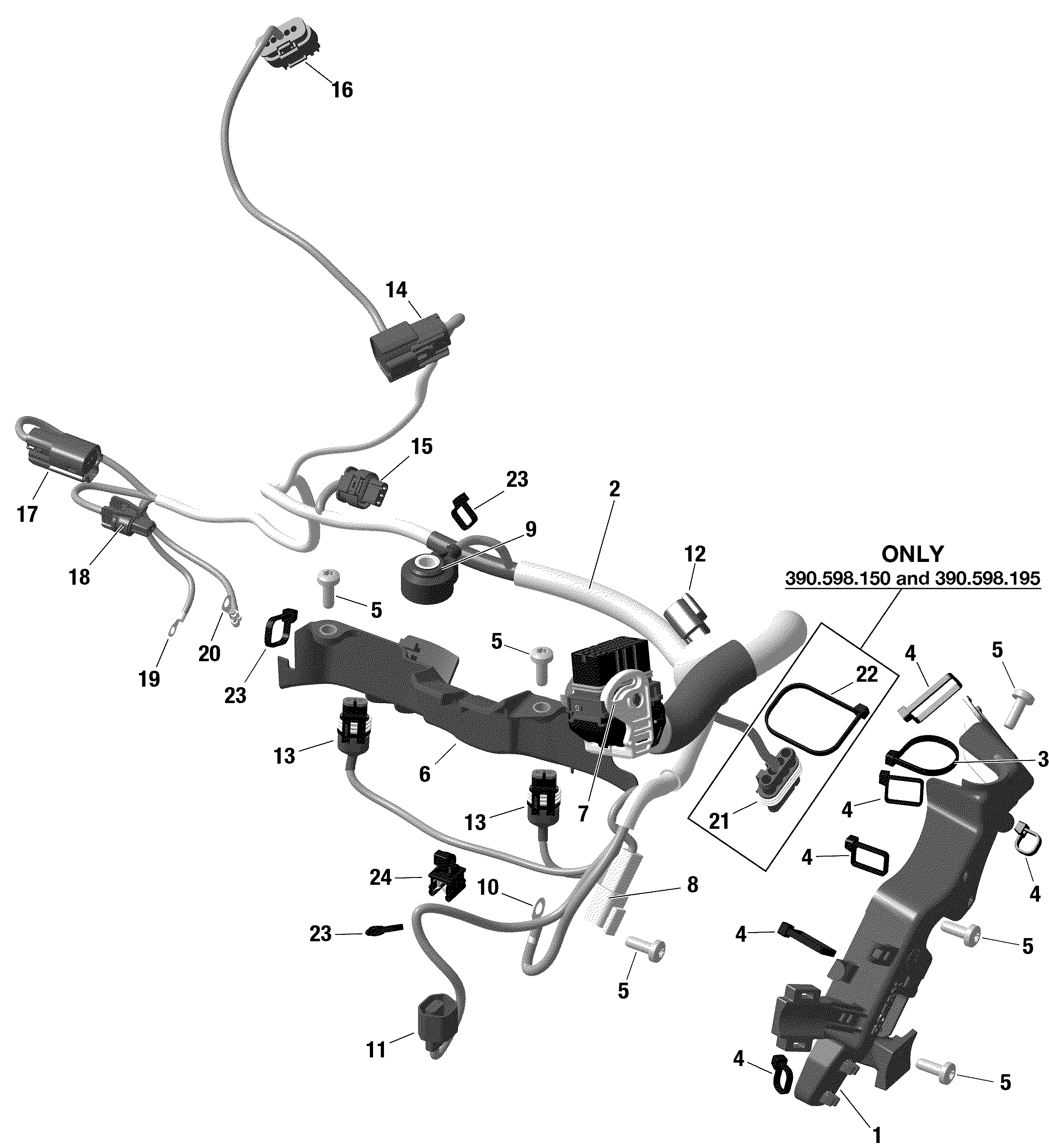 Electric - Engine Harness - 600R E-TEC