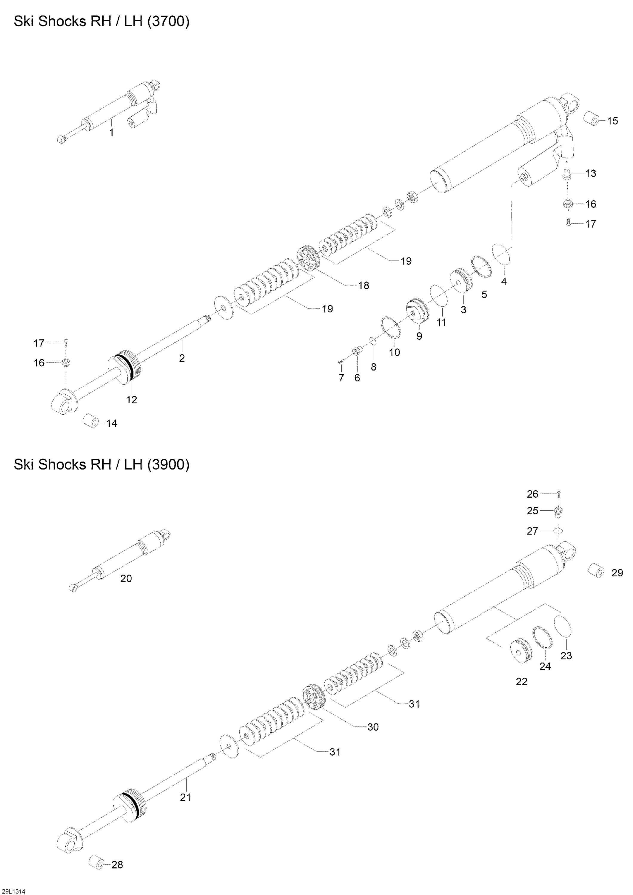 Ski Shocks