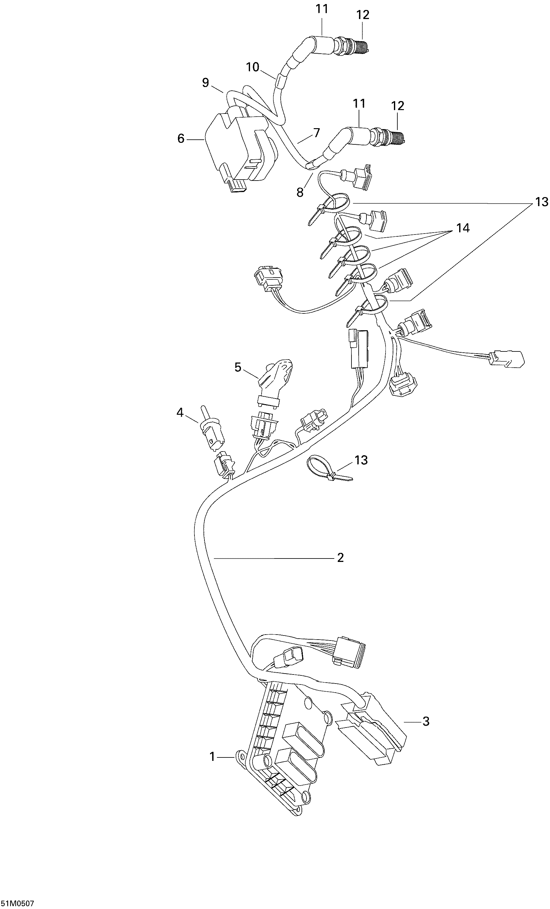 Engine Harness And Electronic Module