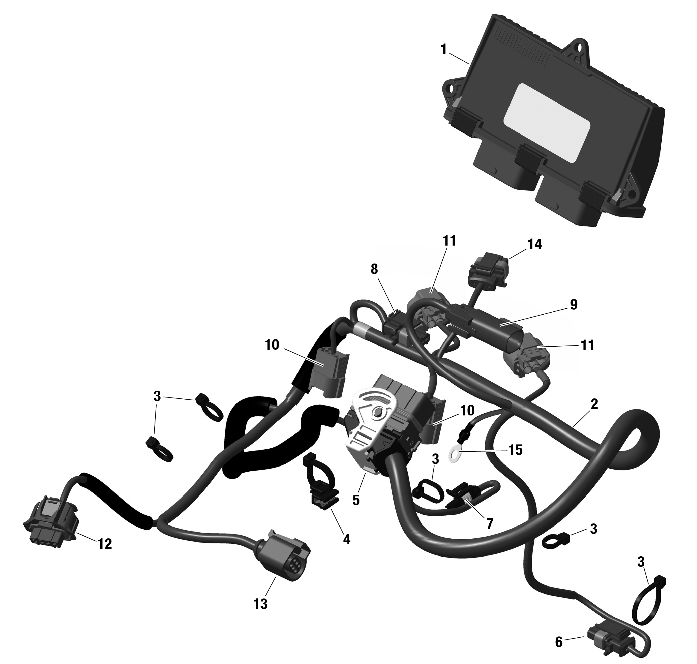 ROTAX - Engine Harness And Electronic Module