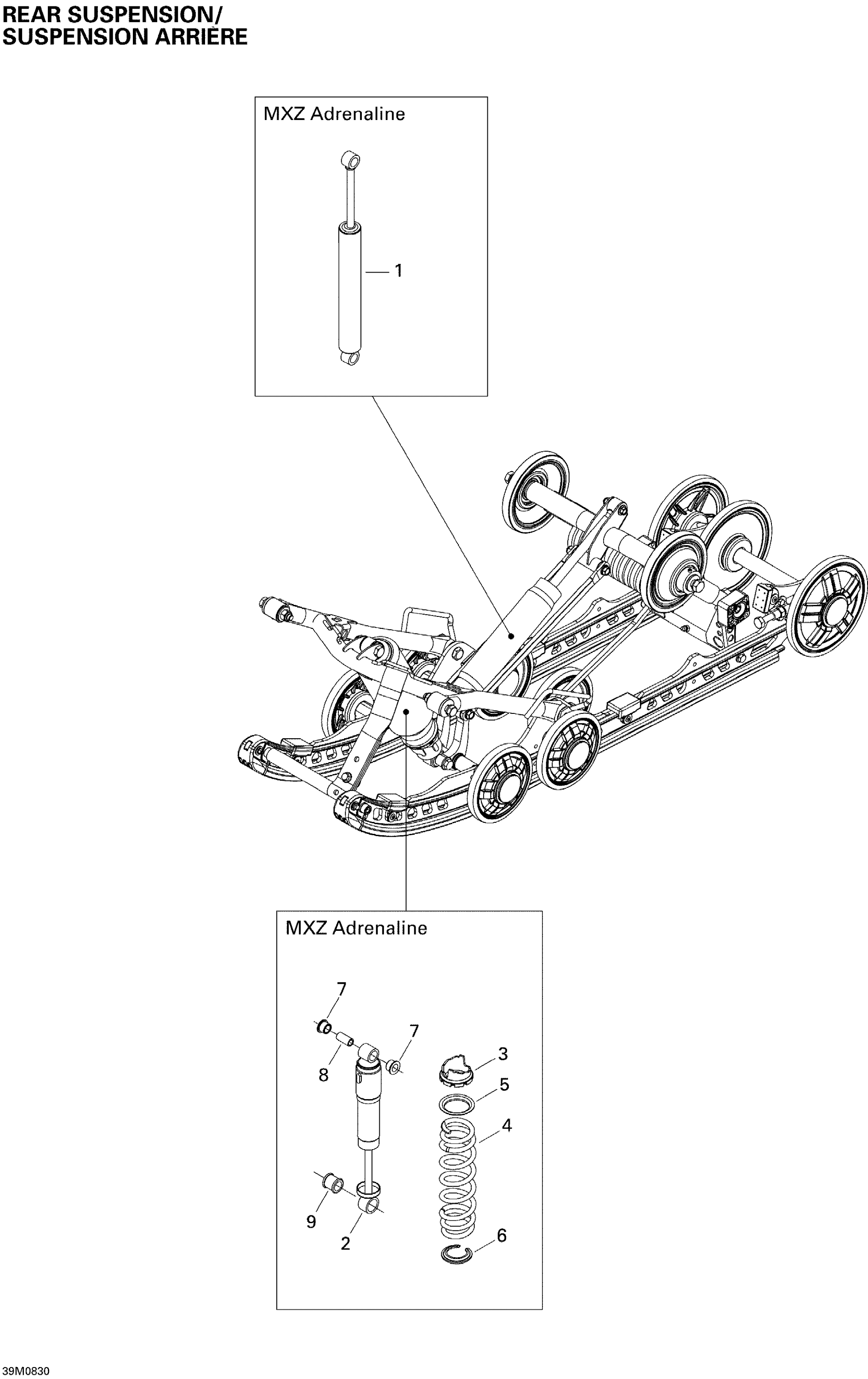 Rear Suspension Shocks