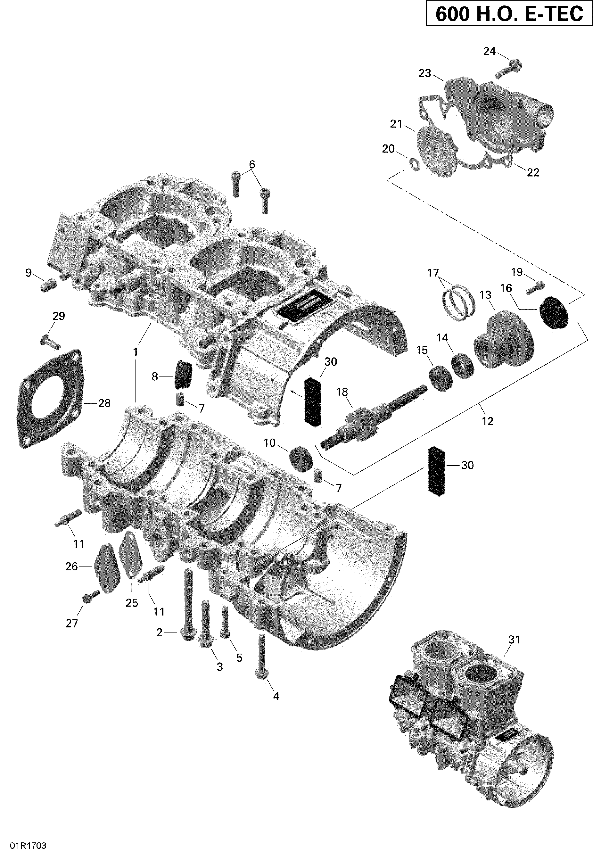 Crankcase And Water Pump _01R1520