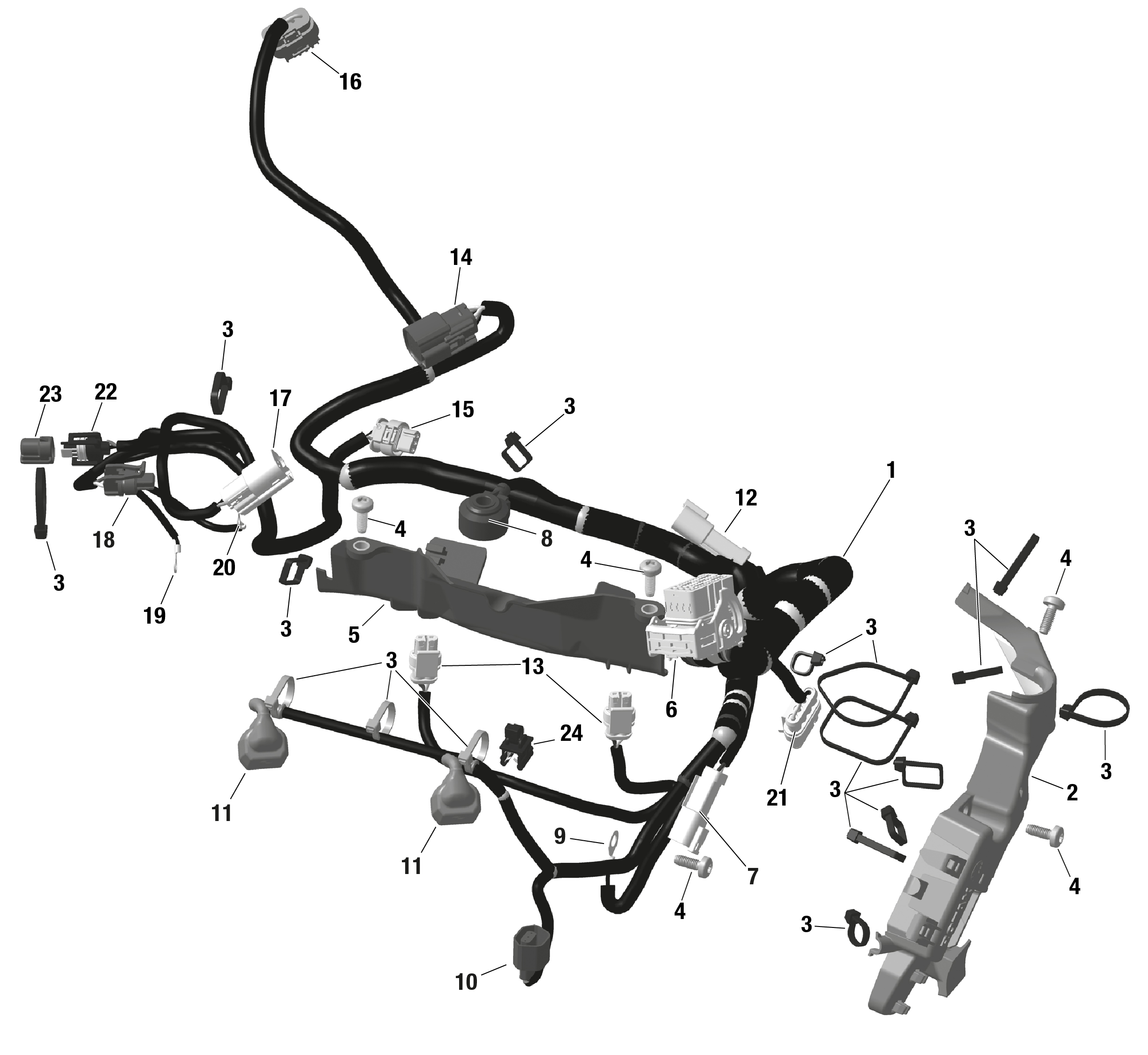 ROTAX - Engine Harness And Electronic Module - DSHOT