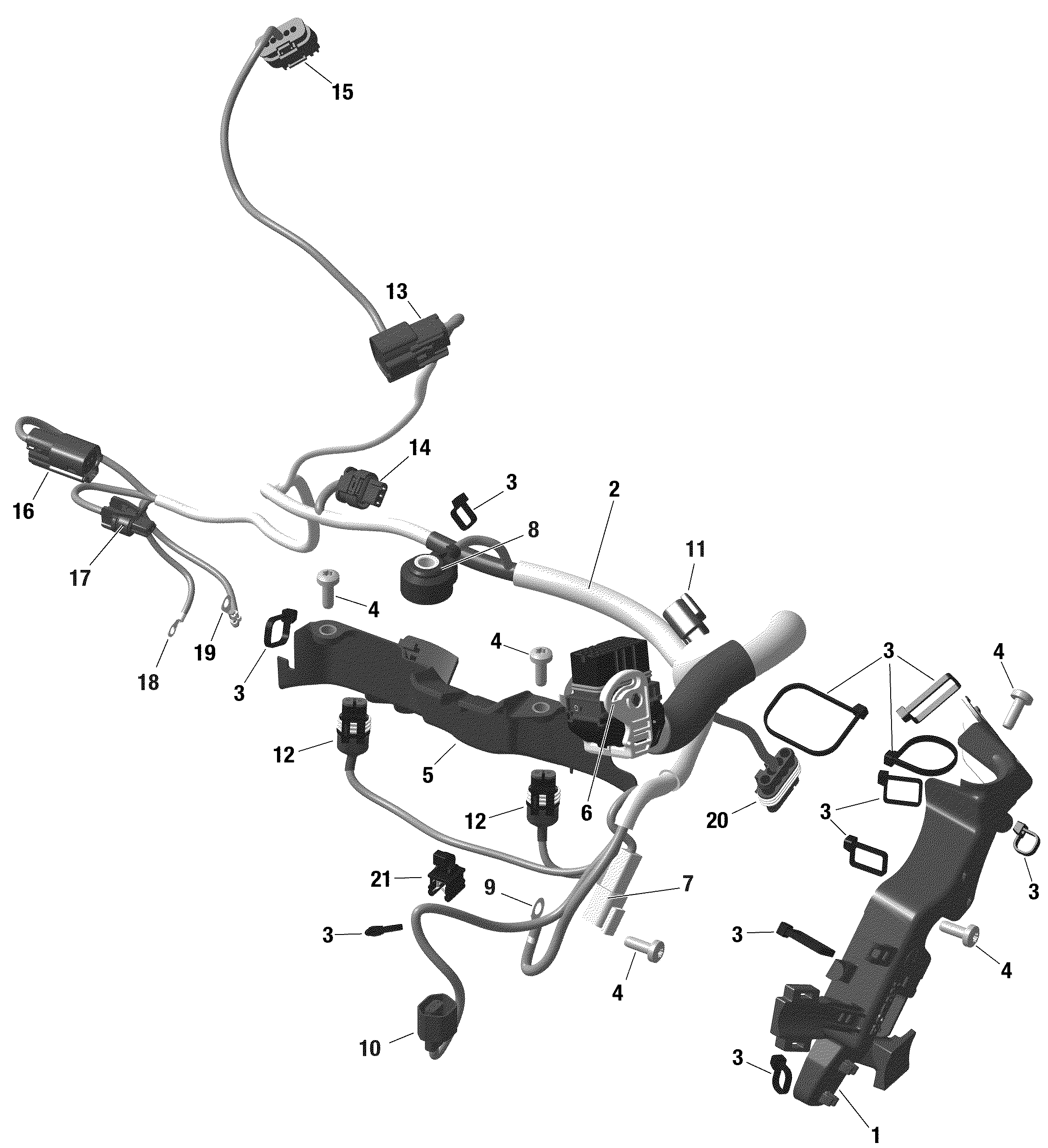 ROTAX - Engine Harness SHOT