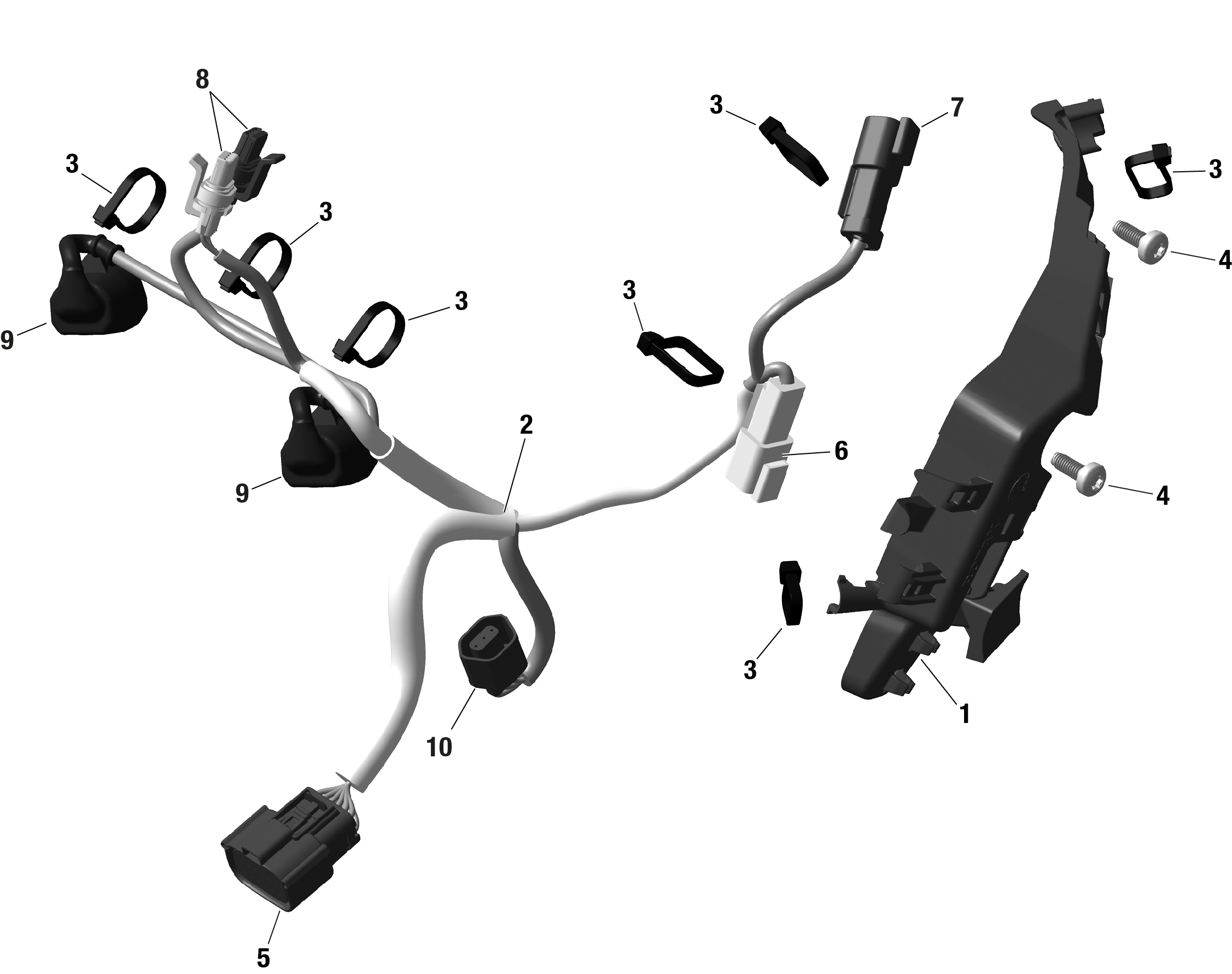 Схема узла: ROTAX - Engine Harness And Electronic Module