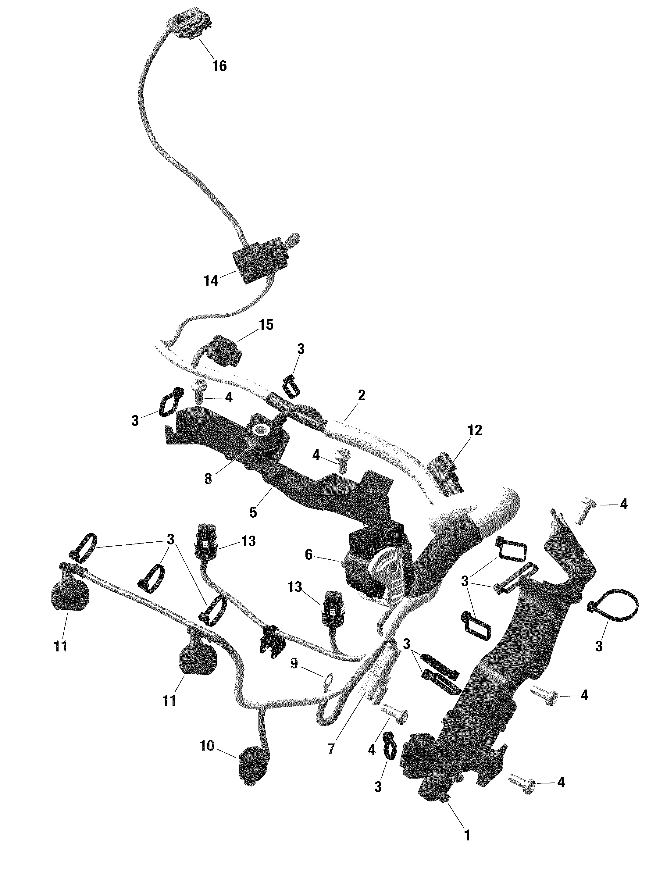 Electric - Engine Harness -  598 RS