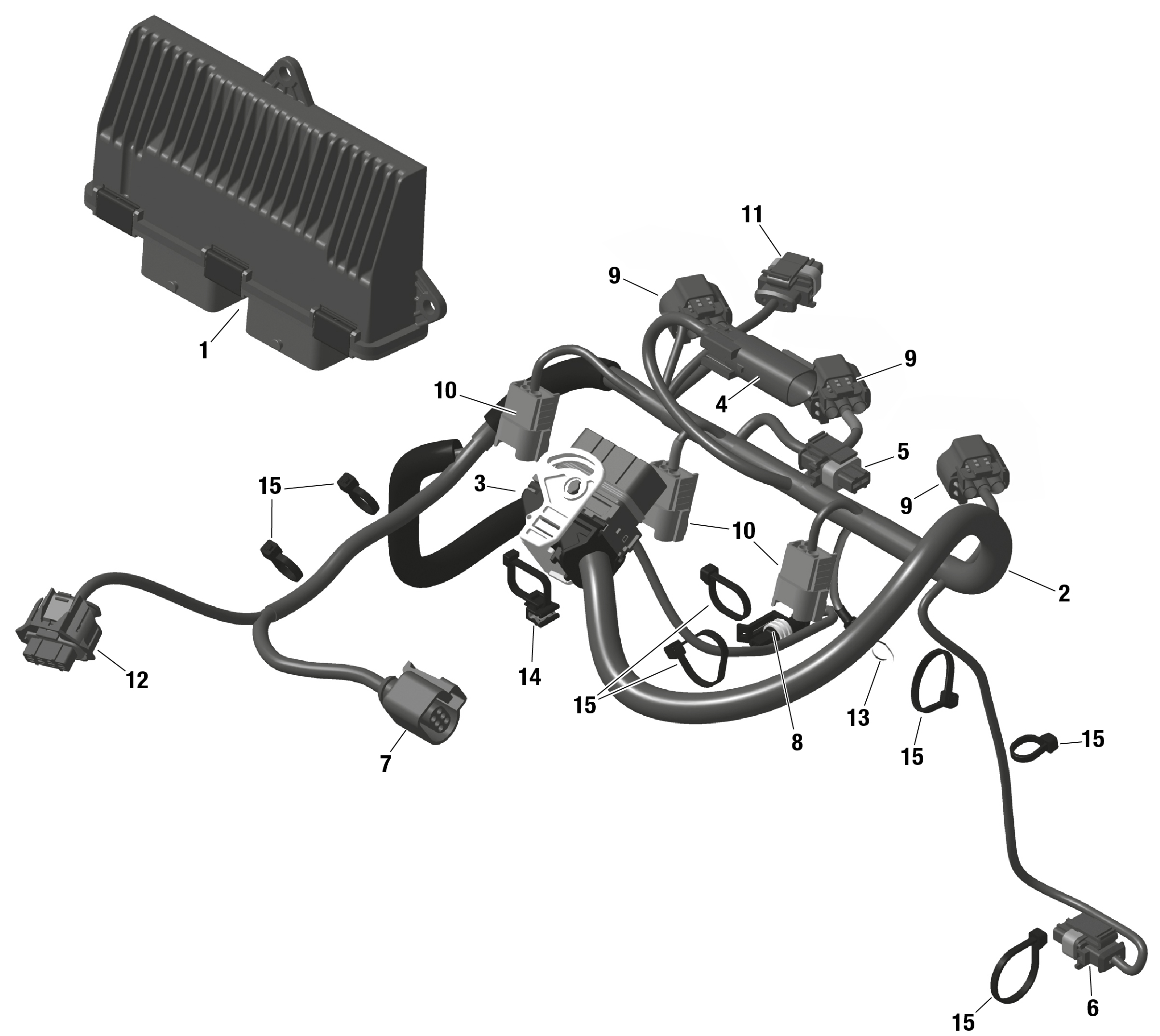 ROTAX - Engine Harness And Electronic Module