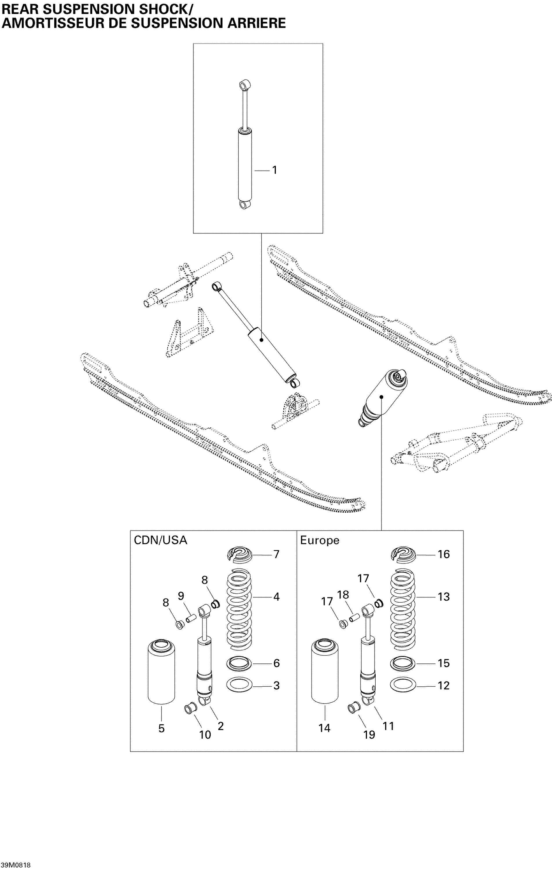 Rear Suspension Shocks