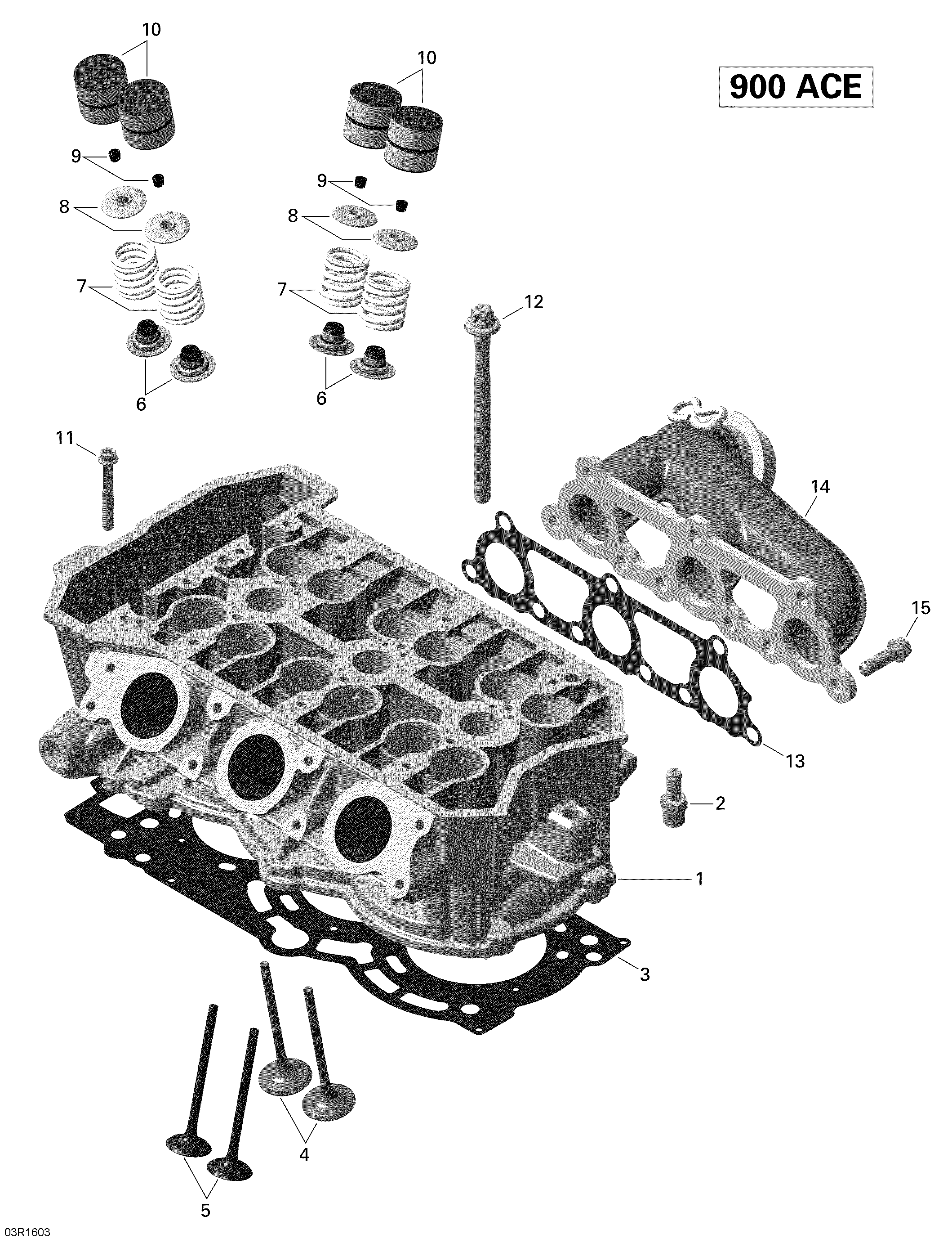 Cylinder Head - 900 ACE