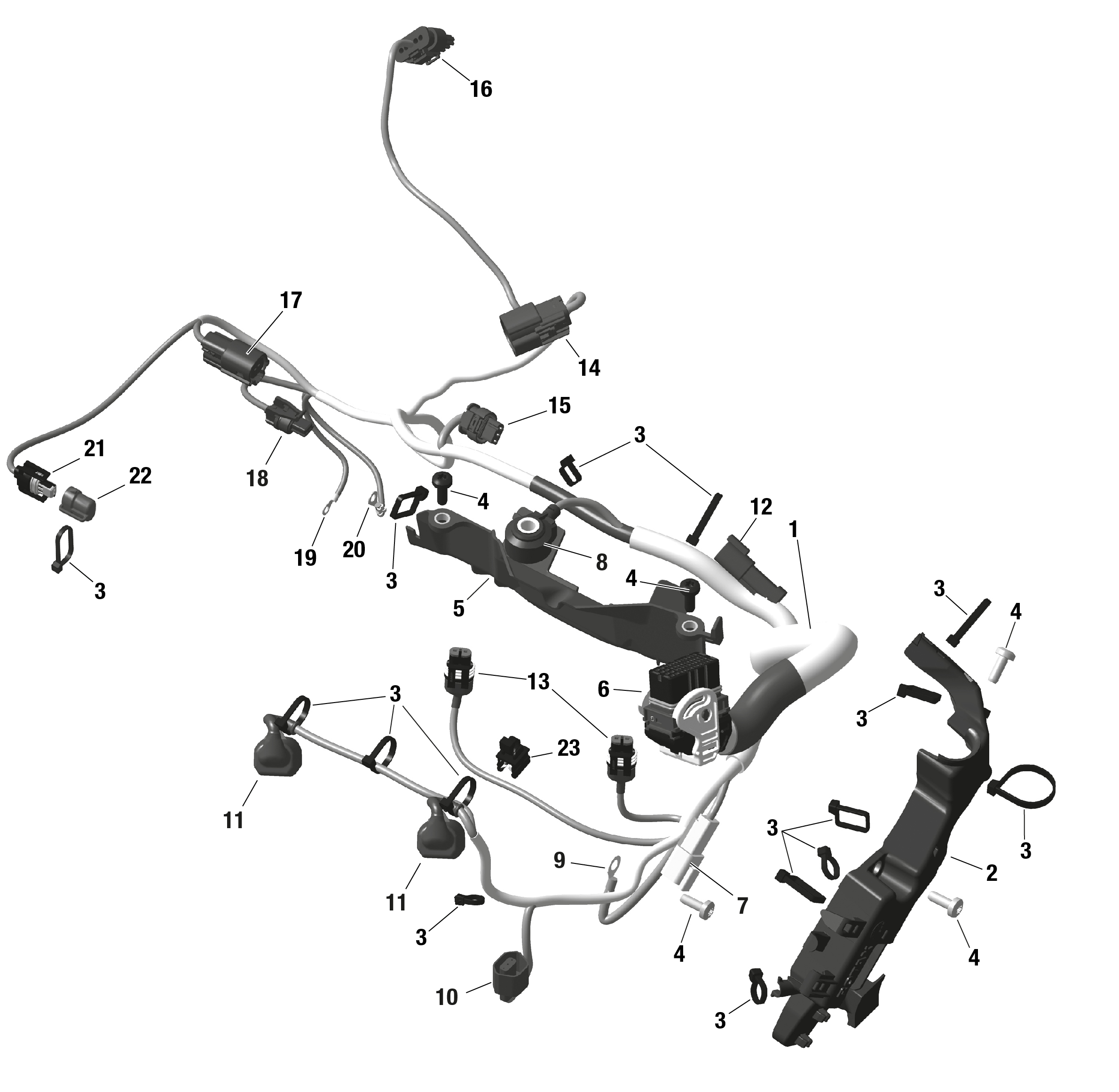 Rotax - Engine Harness - Manual and Electric Start