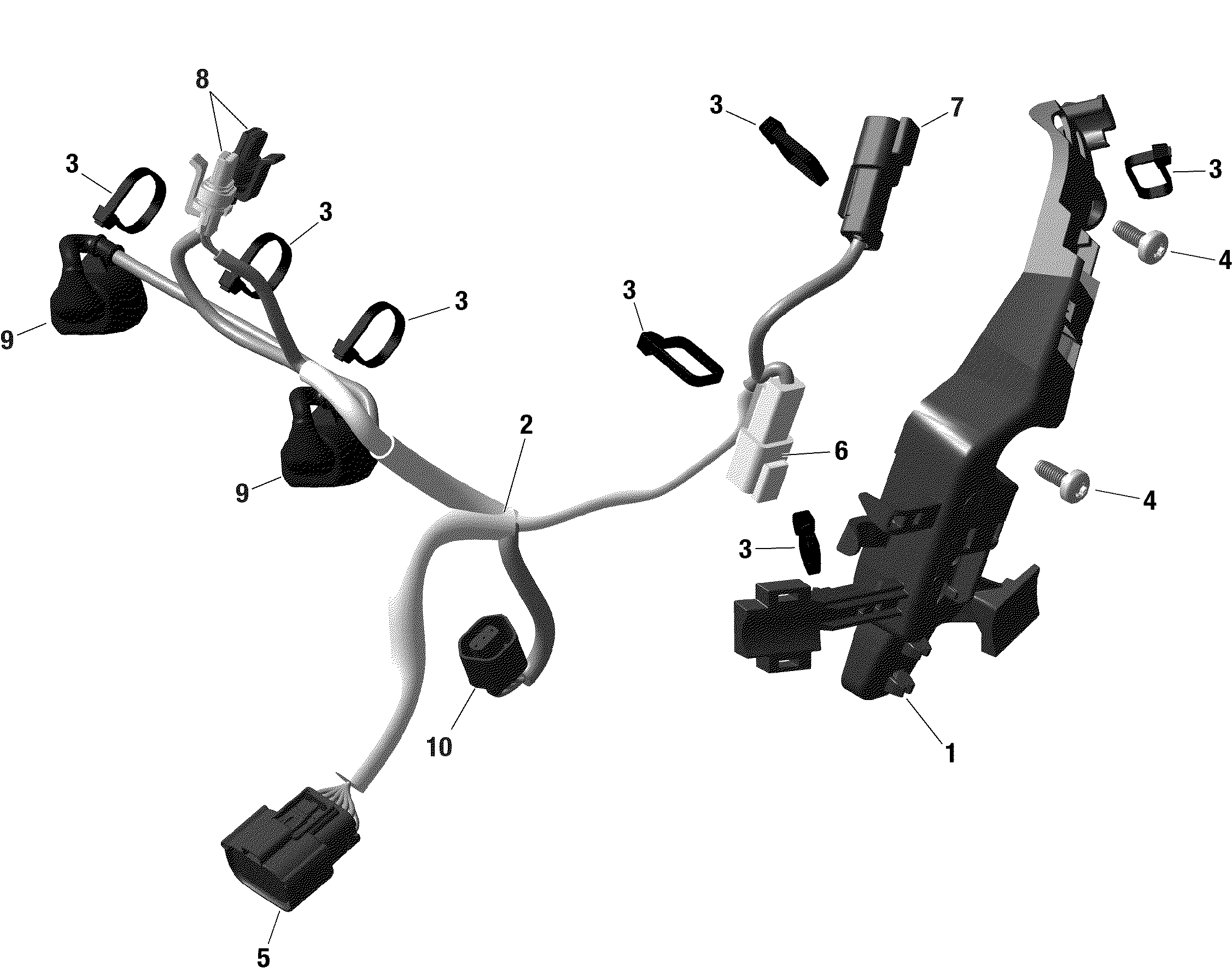 Rotax - Engine Harness