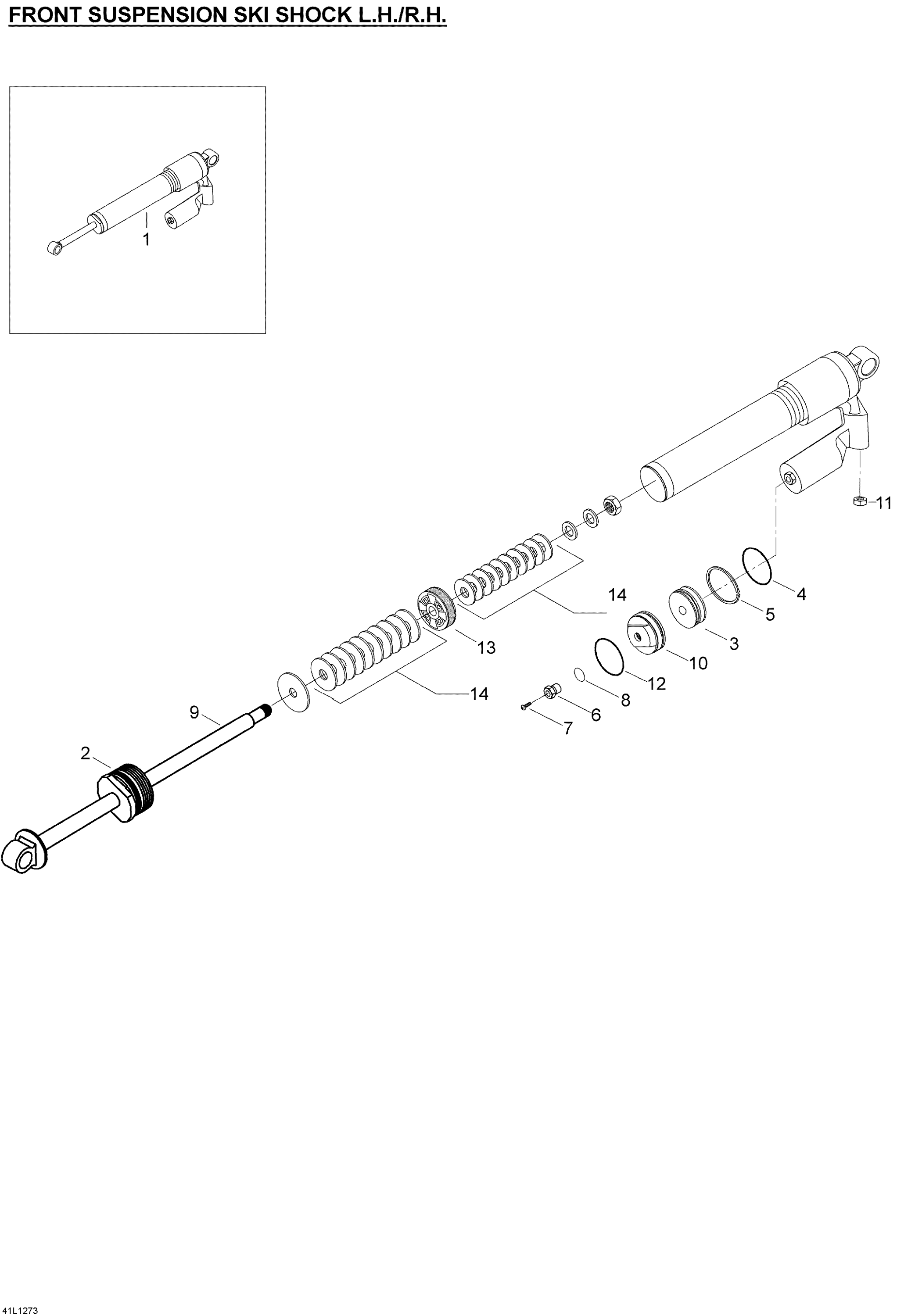 Take Apart Shock ski