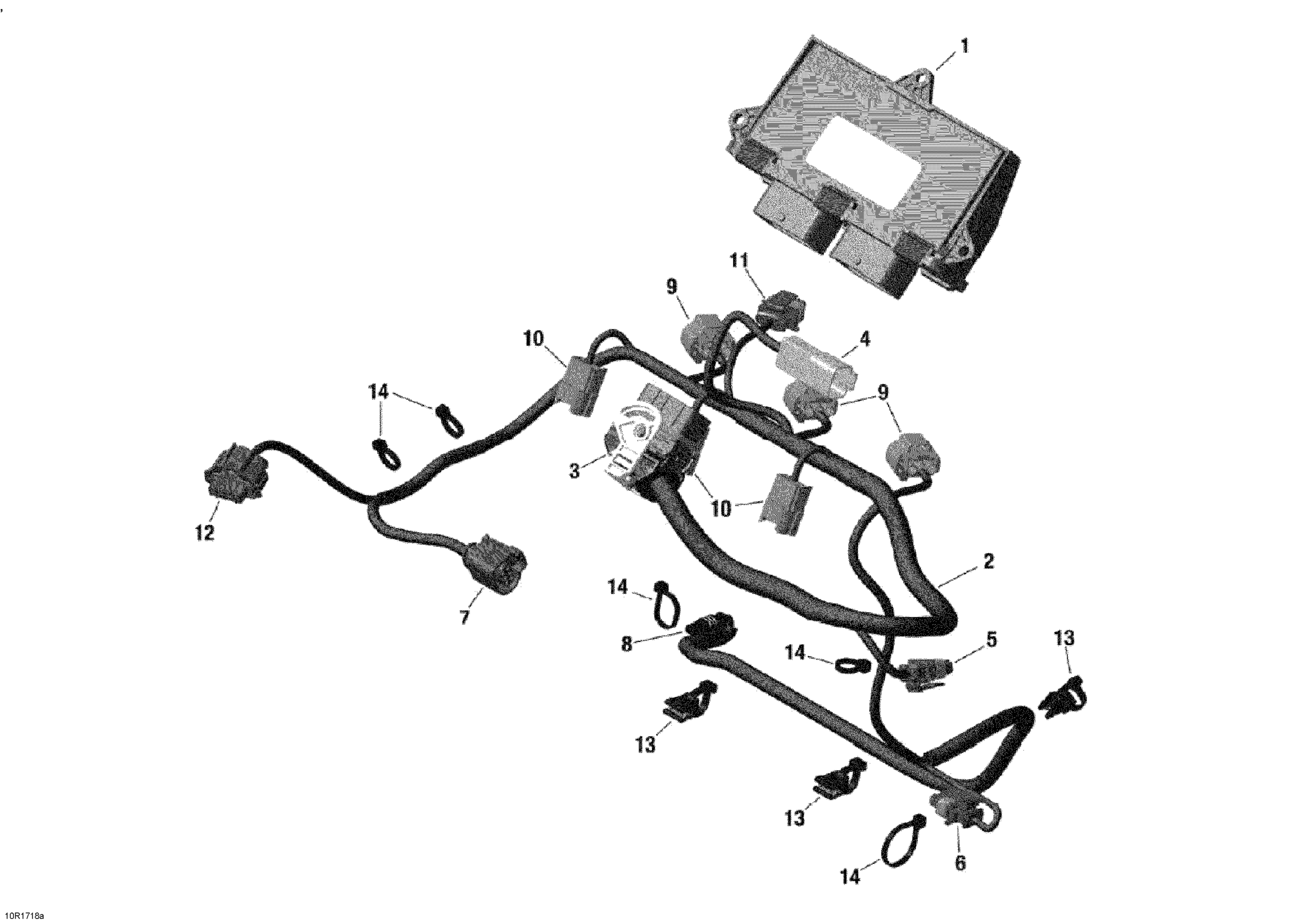 Engine Harness And Electronic Module _10R1555