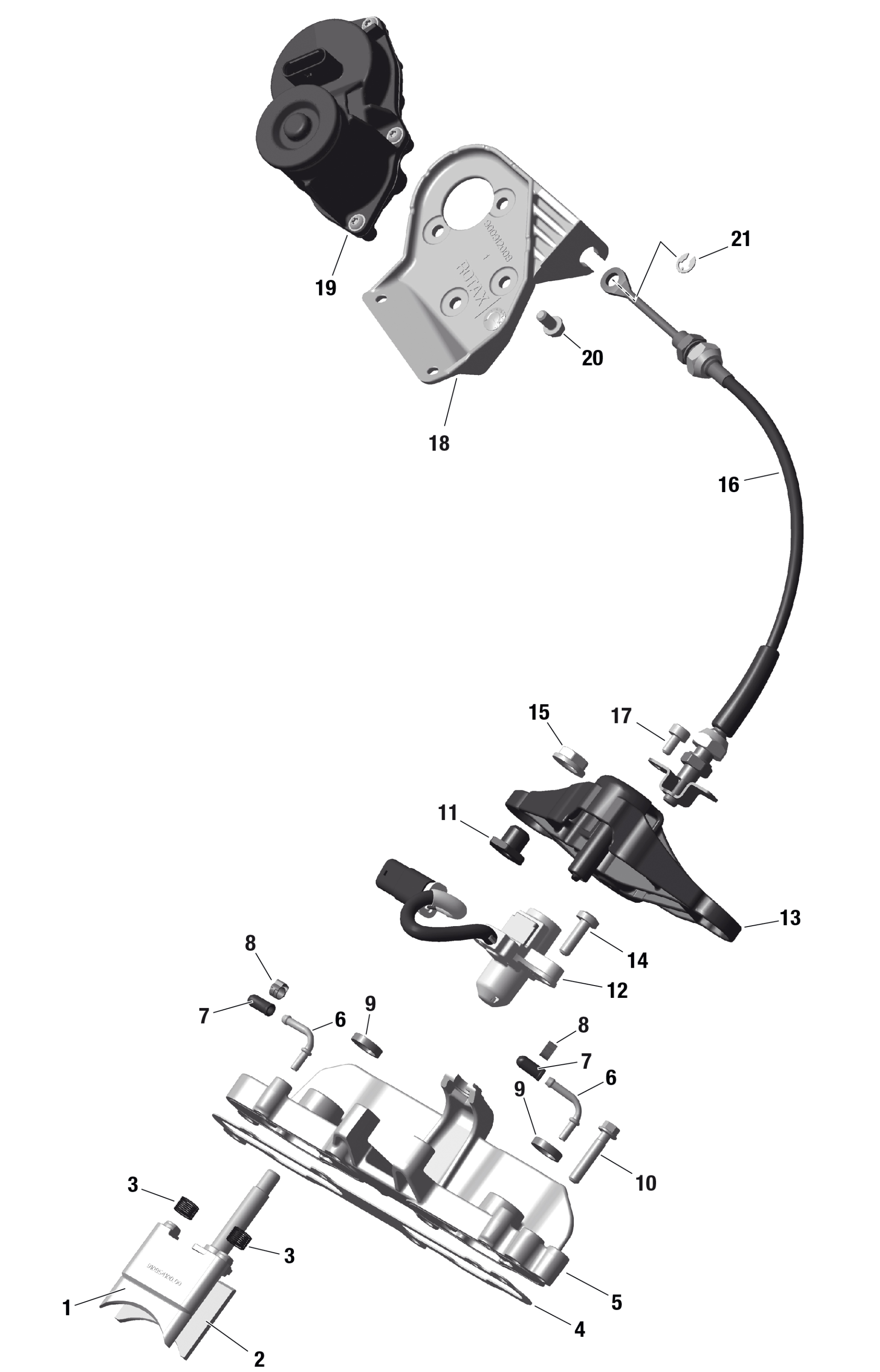 Rotax - Rave Valve