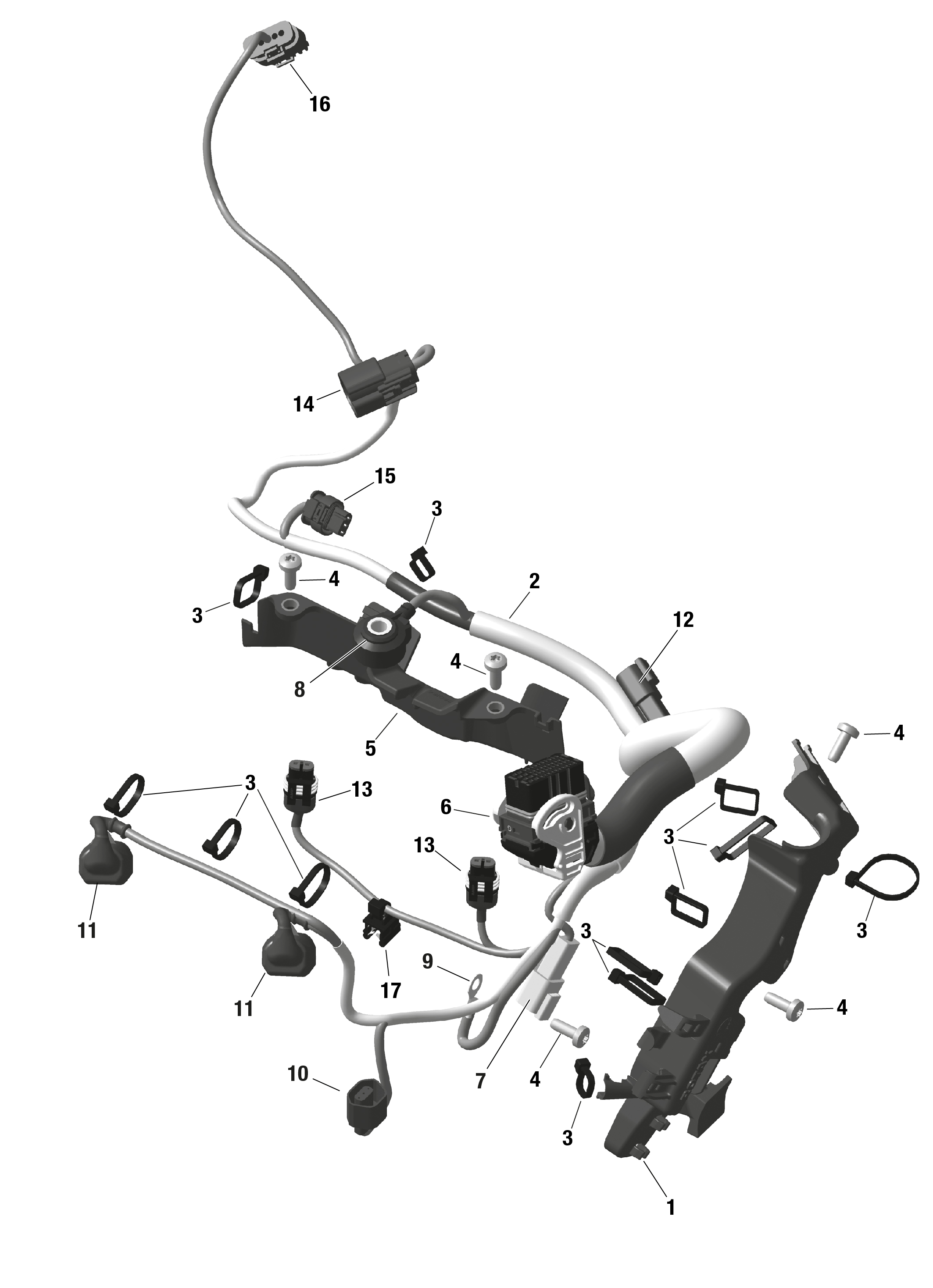 Схема узла: Rotax - Engine Harness