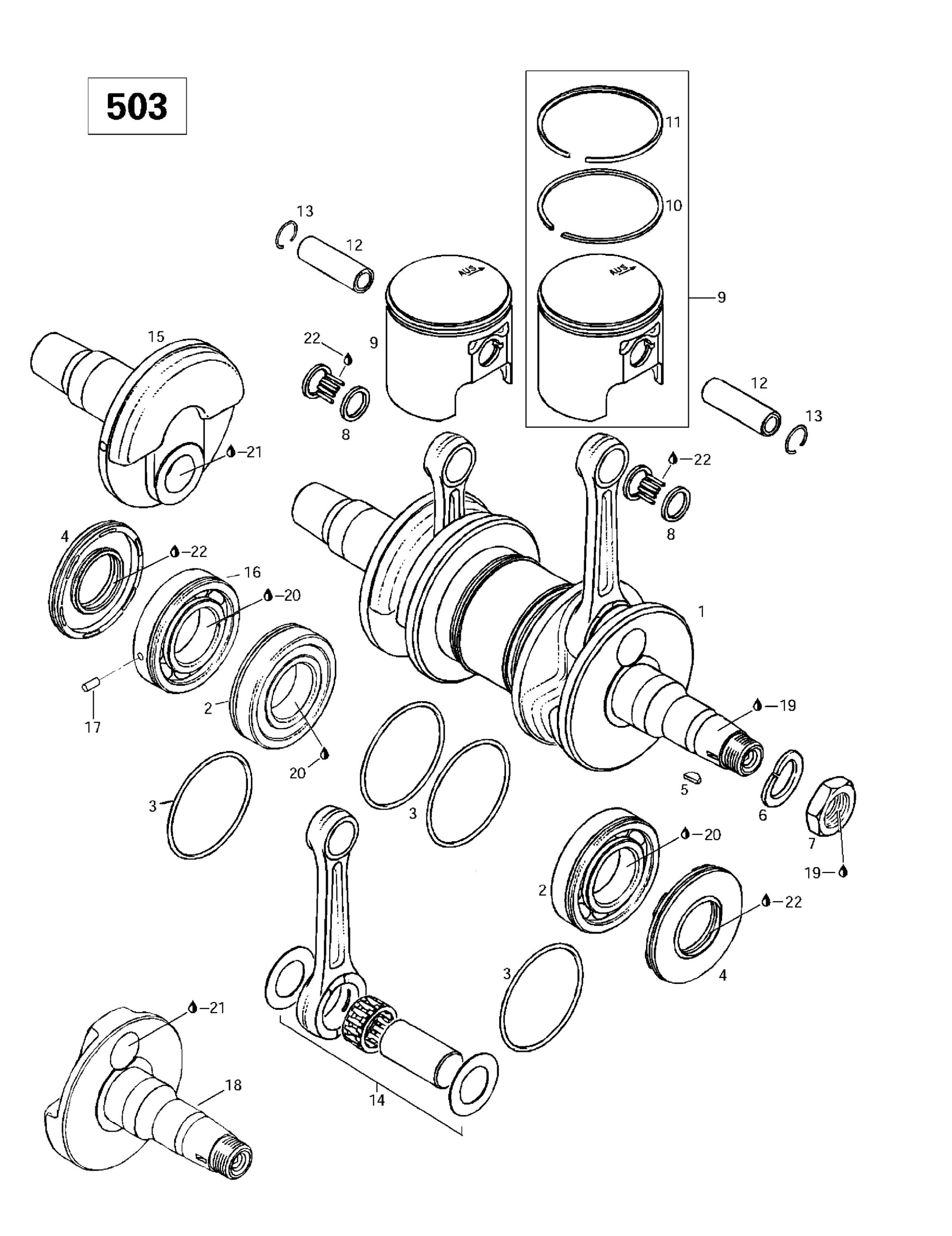 Crankshaft And Pistons (503)