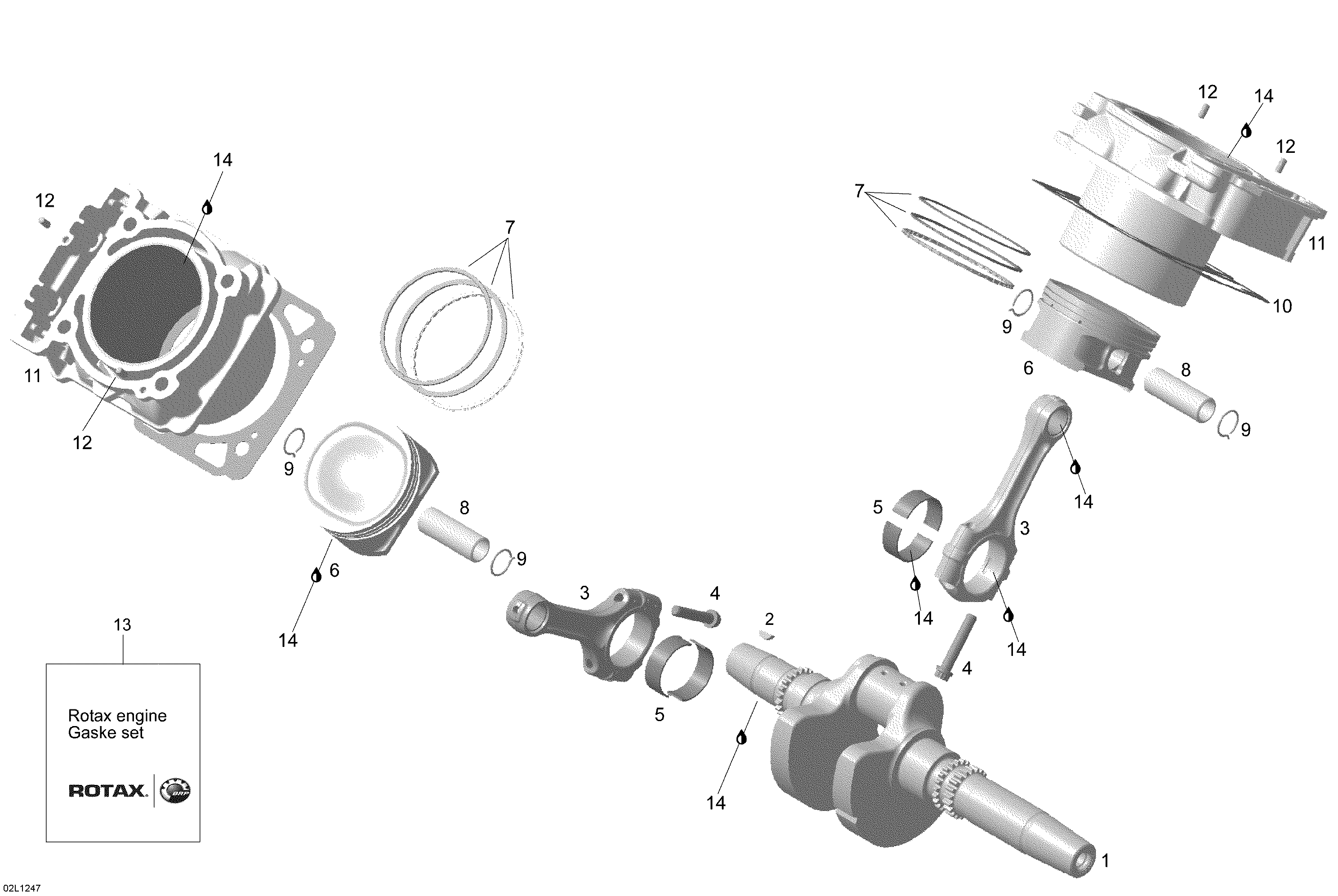 Cylinder And Crankshaft