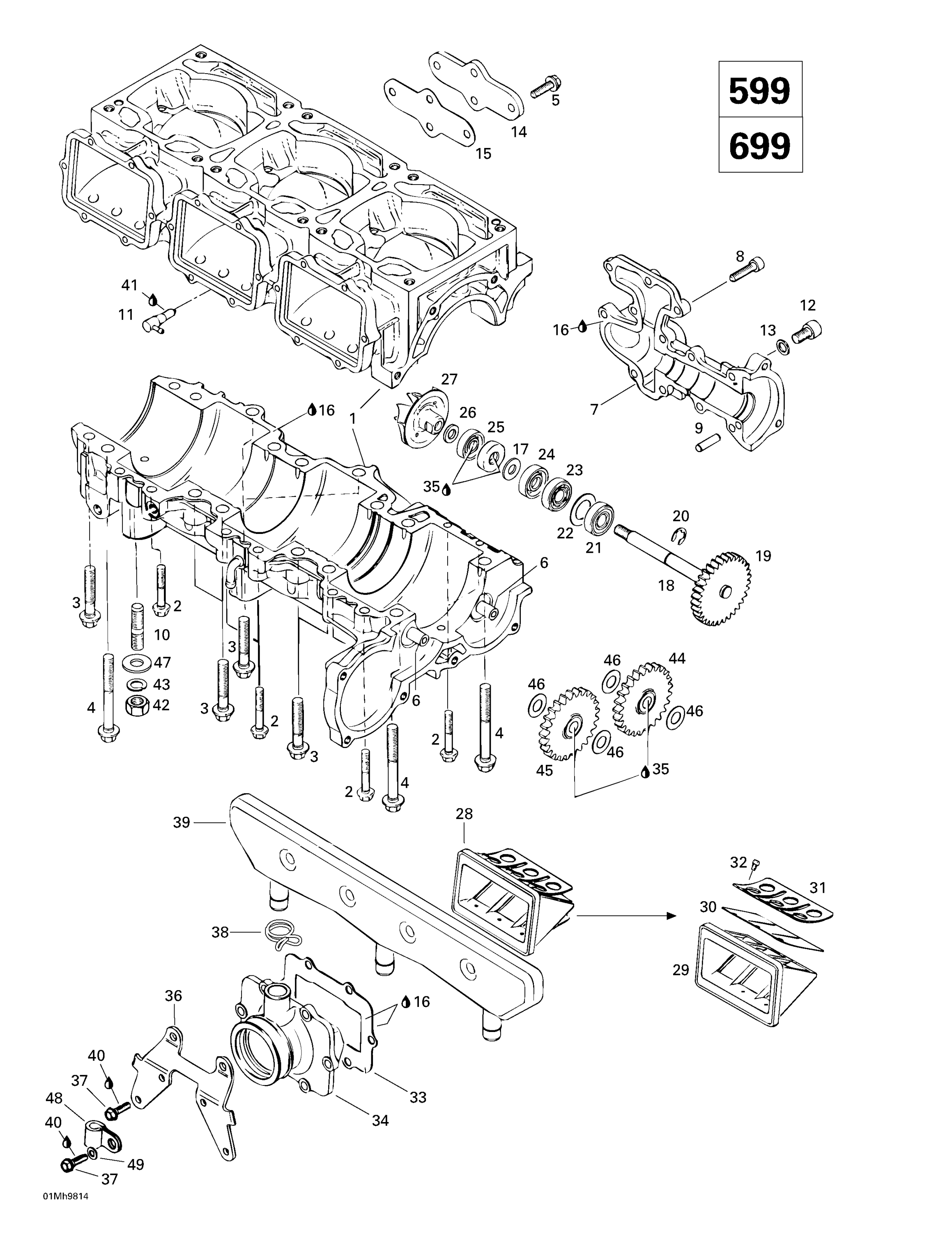 Схема узла: Crankcase, Reed Valve, Water Pump (599, 699)