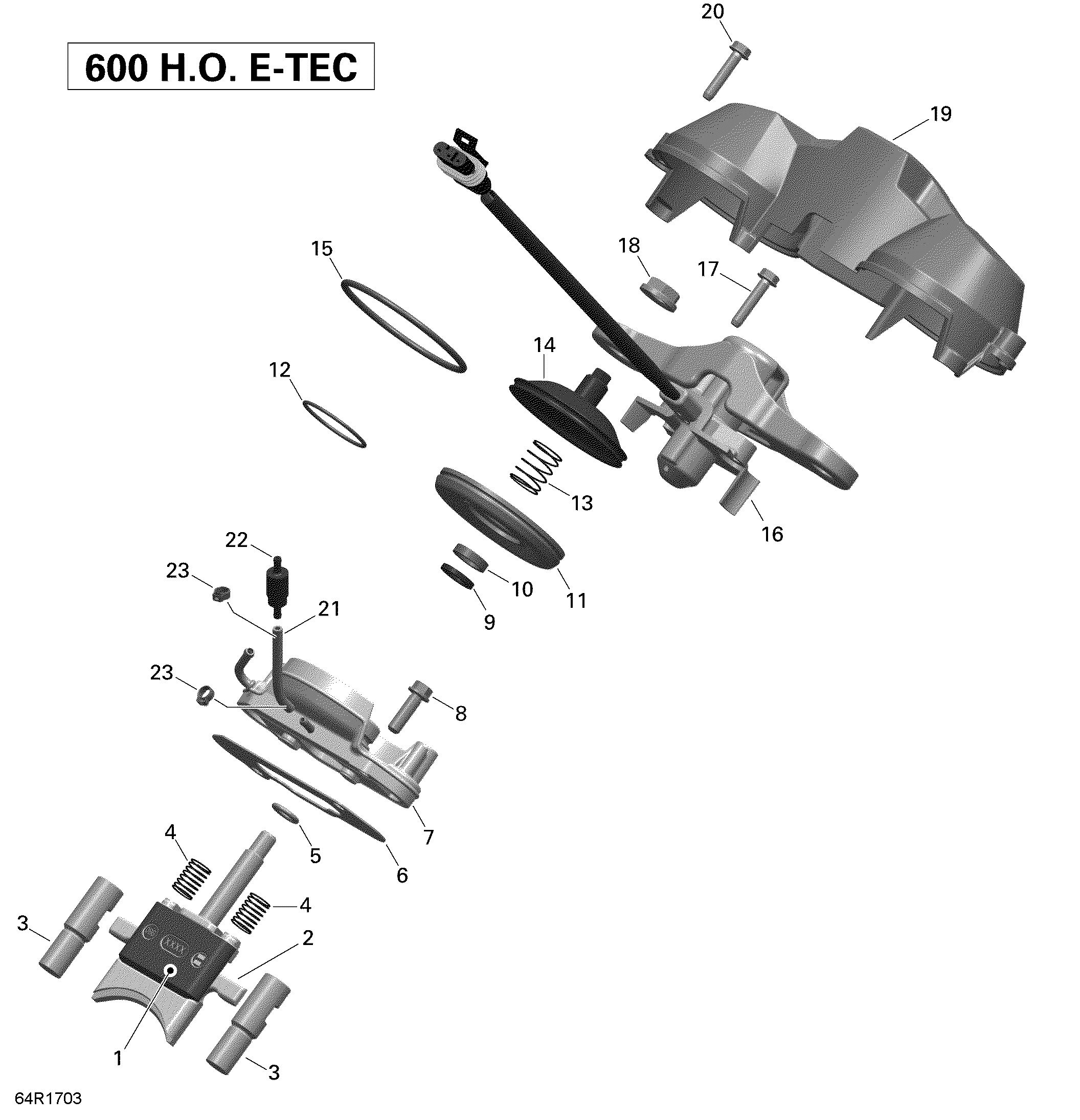 3D Rave - 600HO E-TEC