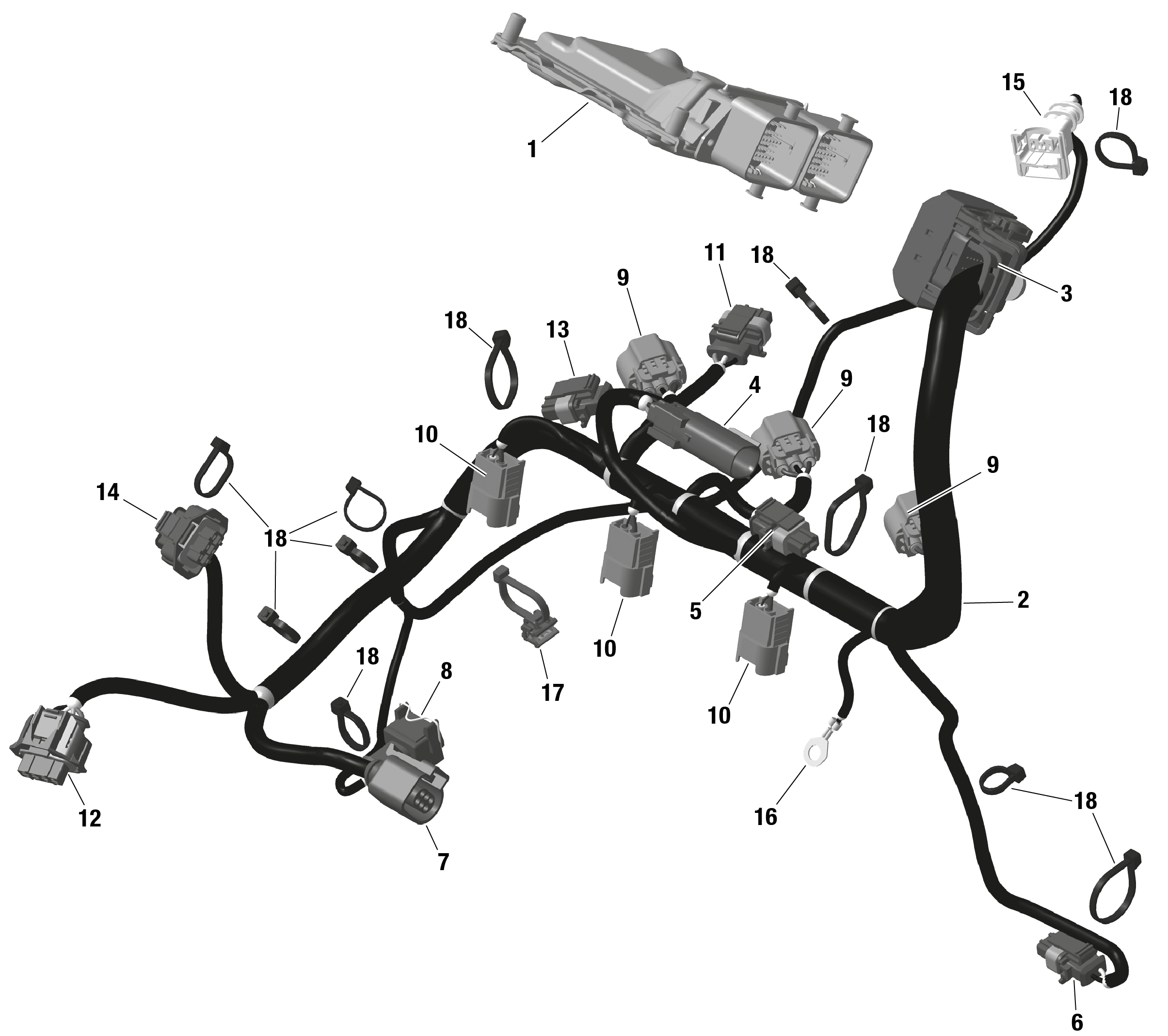 ROTAX - Engine Harness And Electronic Module