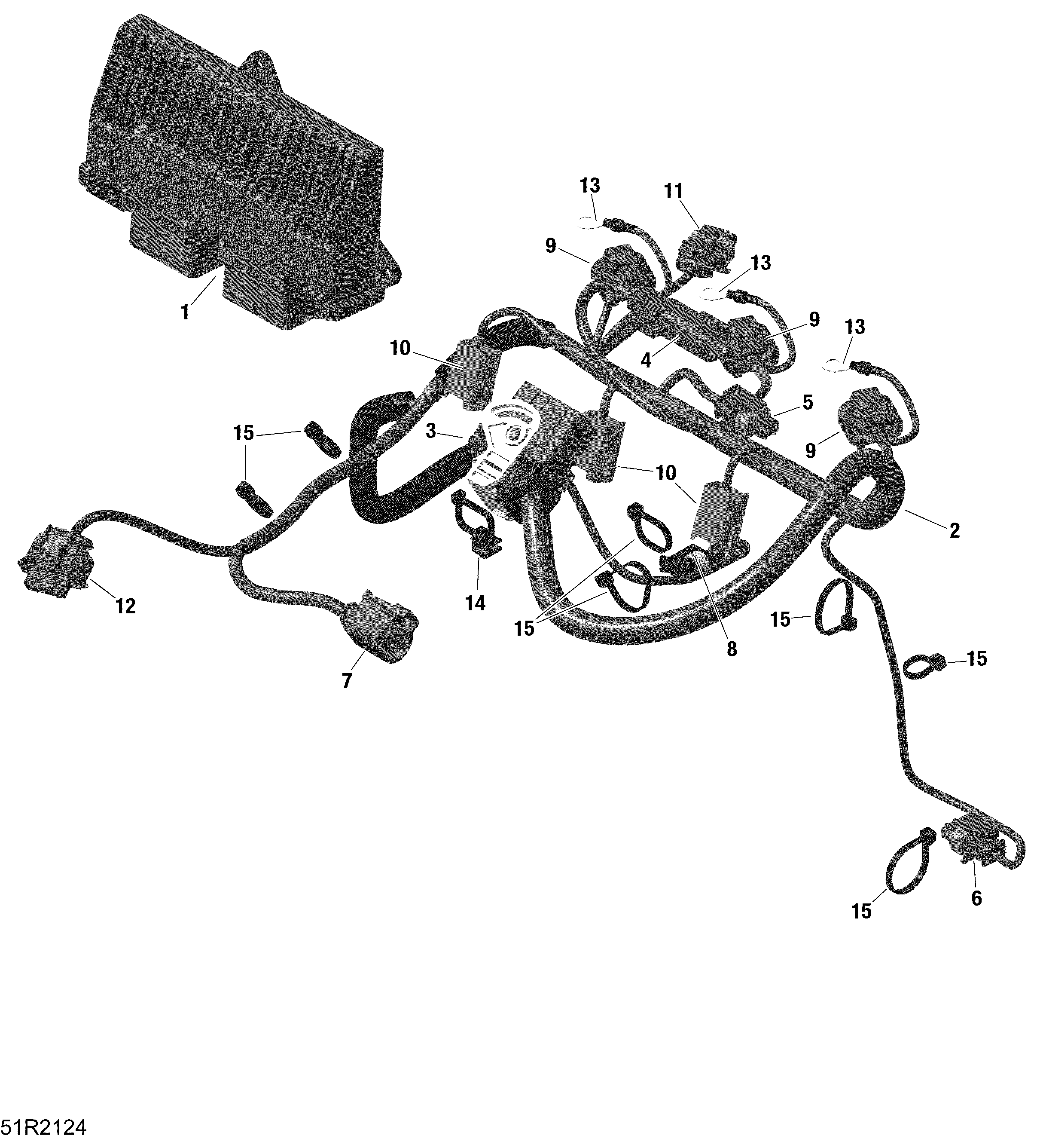 Rotax - Engine Harness And Electronic Module