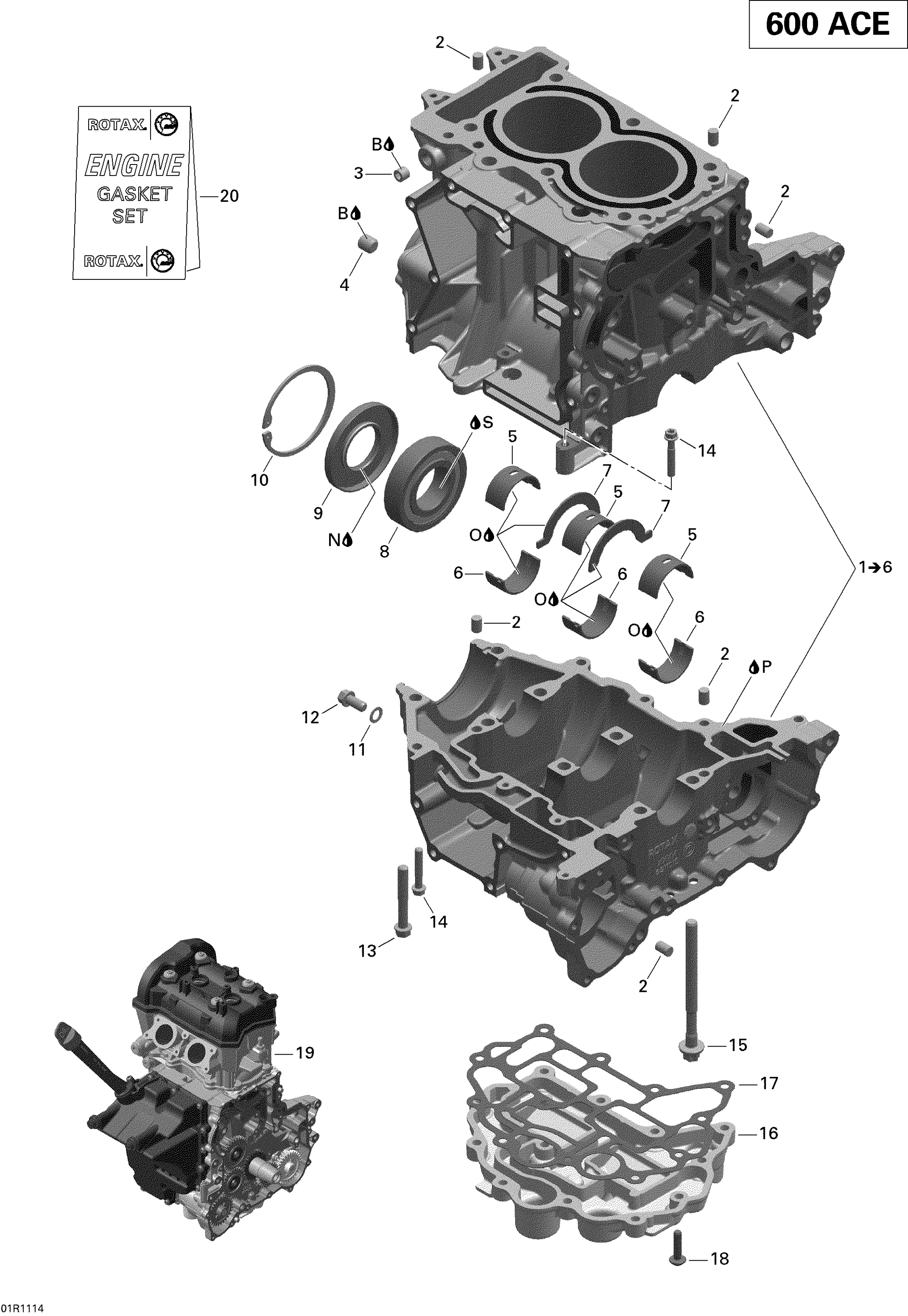 Crankcase - 600 ACE