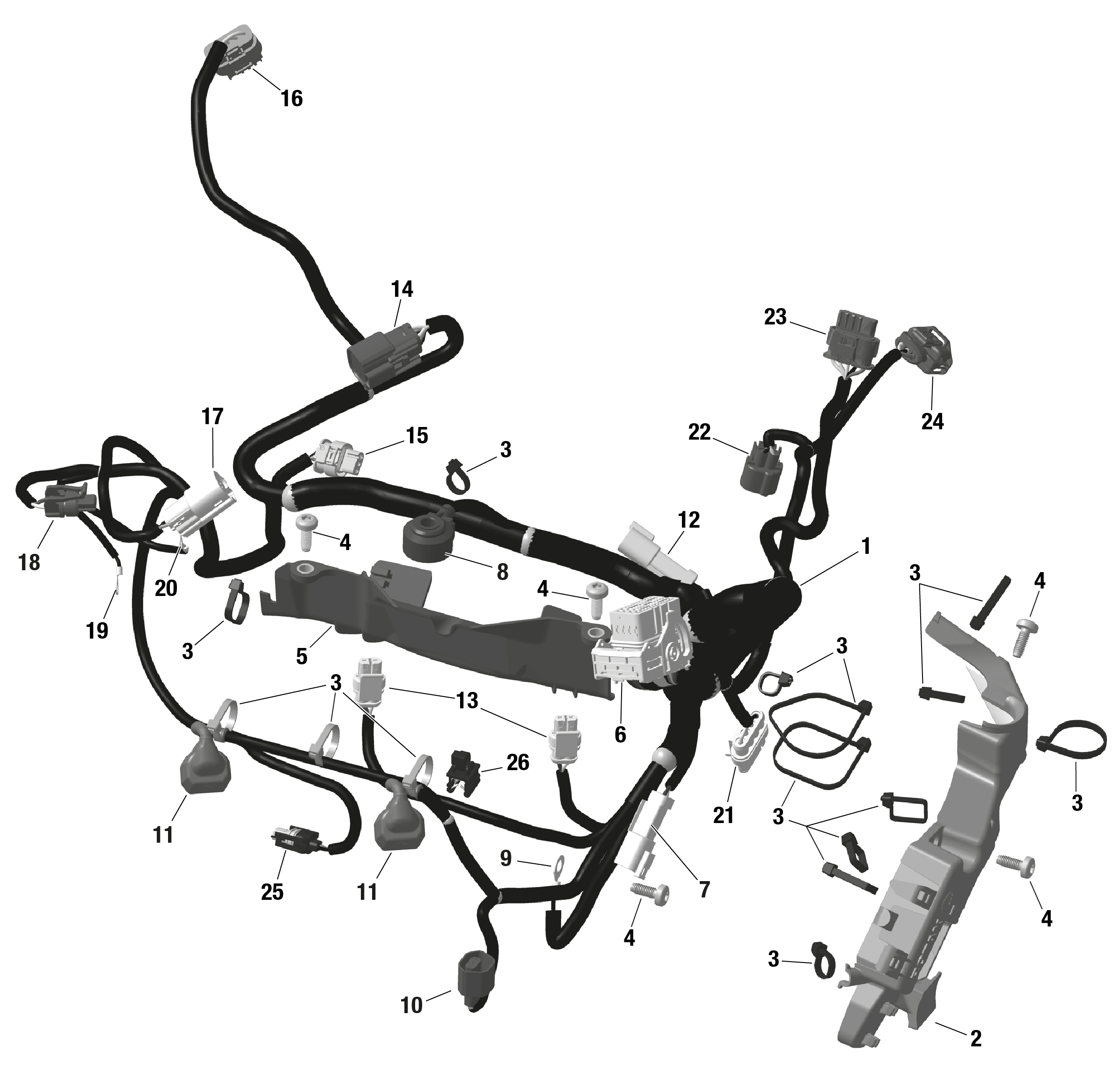 ROTAX - Engine Harness And Electronic Module