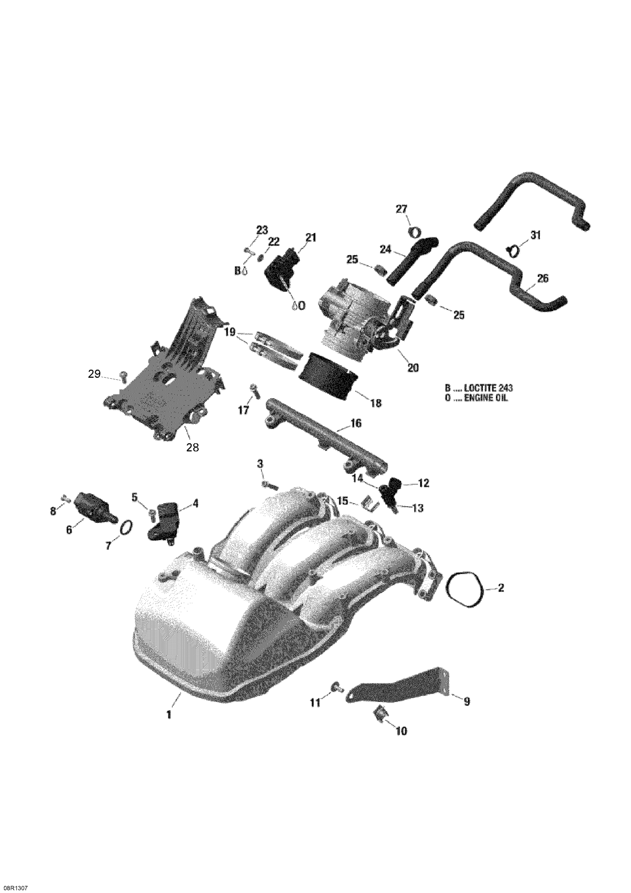 Air Intake Manifold And Throttle Body