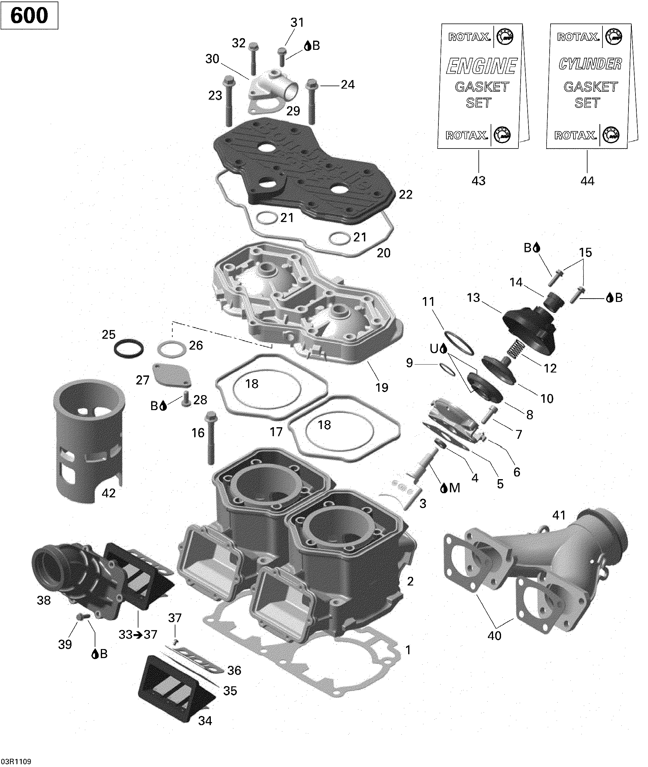 Cylinder and Cylinder Head