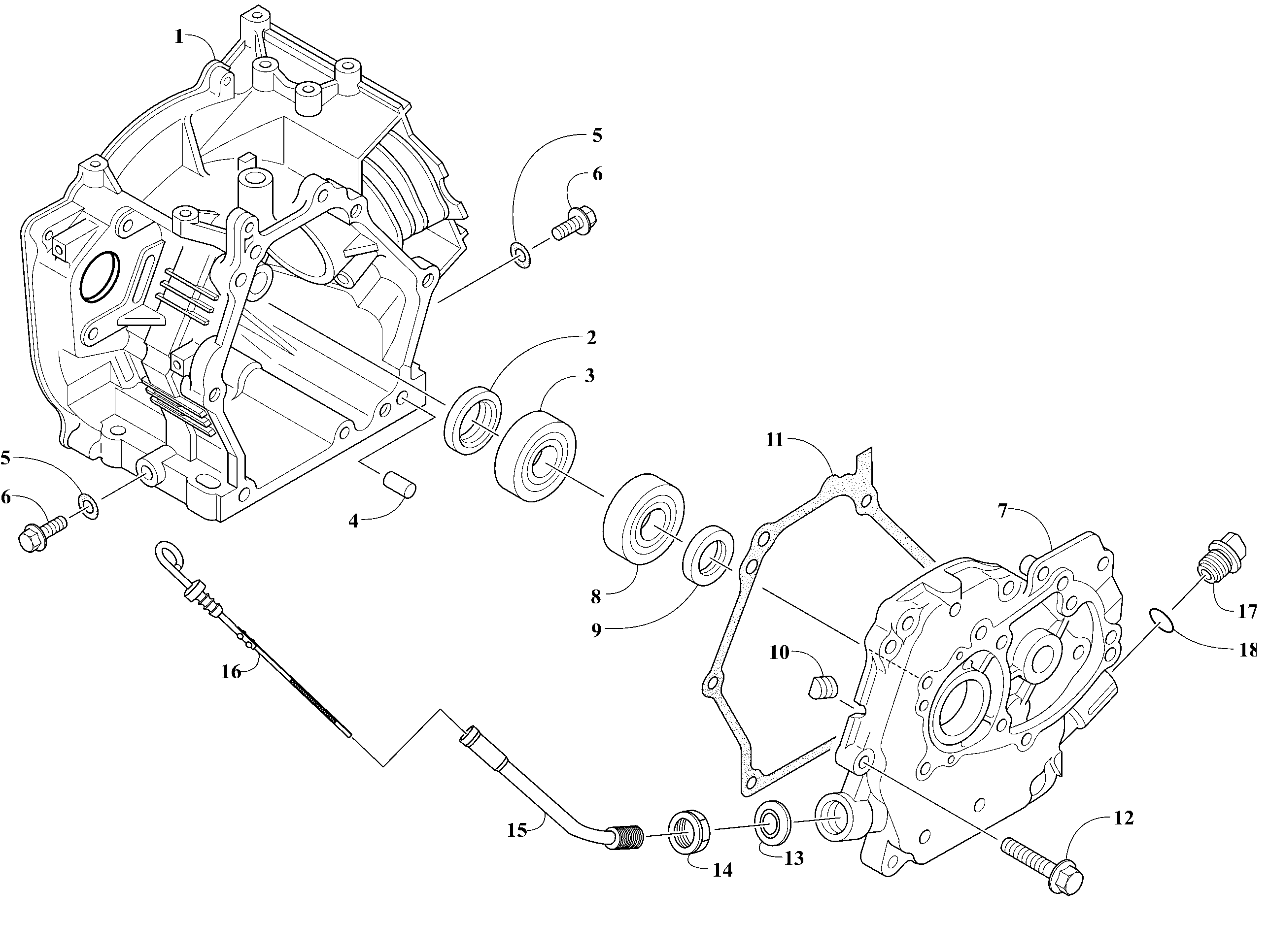 Engine - Crankcase and Cover