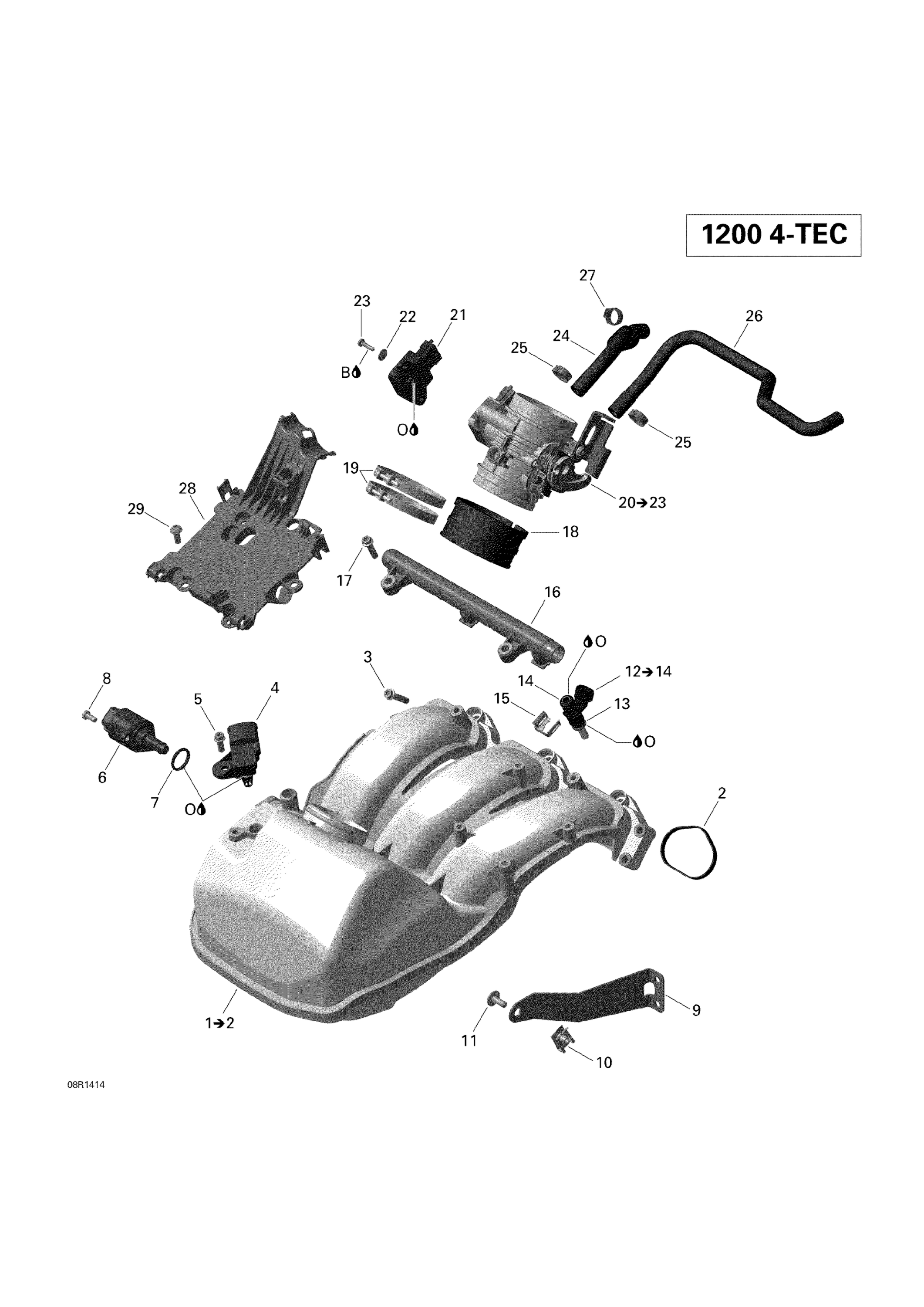 02_Air Intake Manifold And Throttle Body