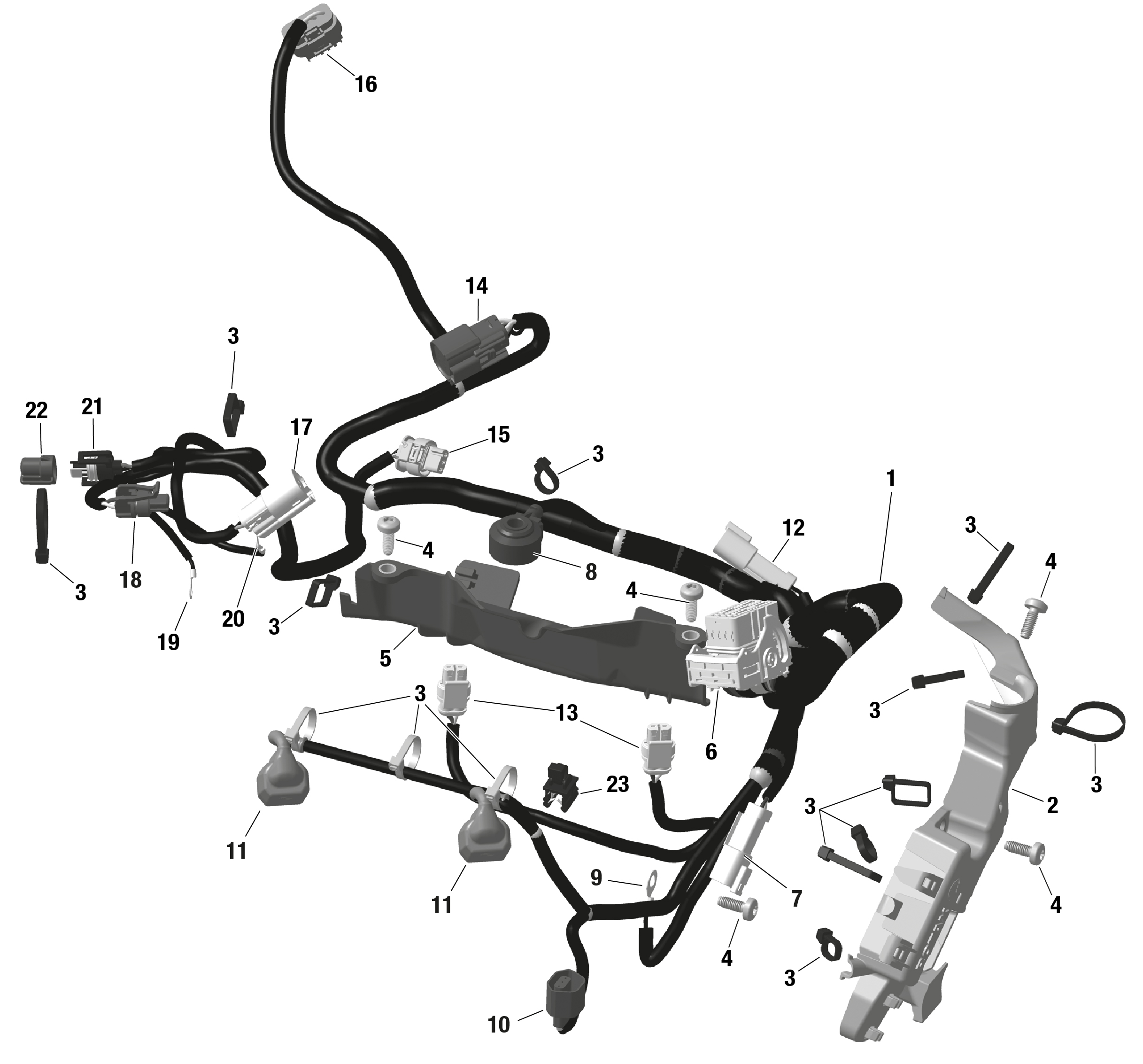 ROTAX - Engine Harness And Electronic Module - NA