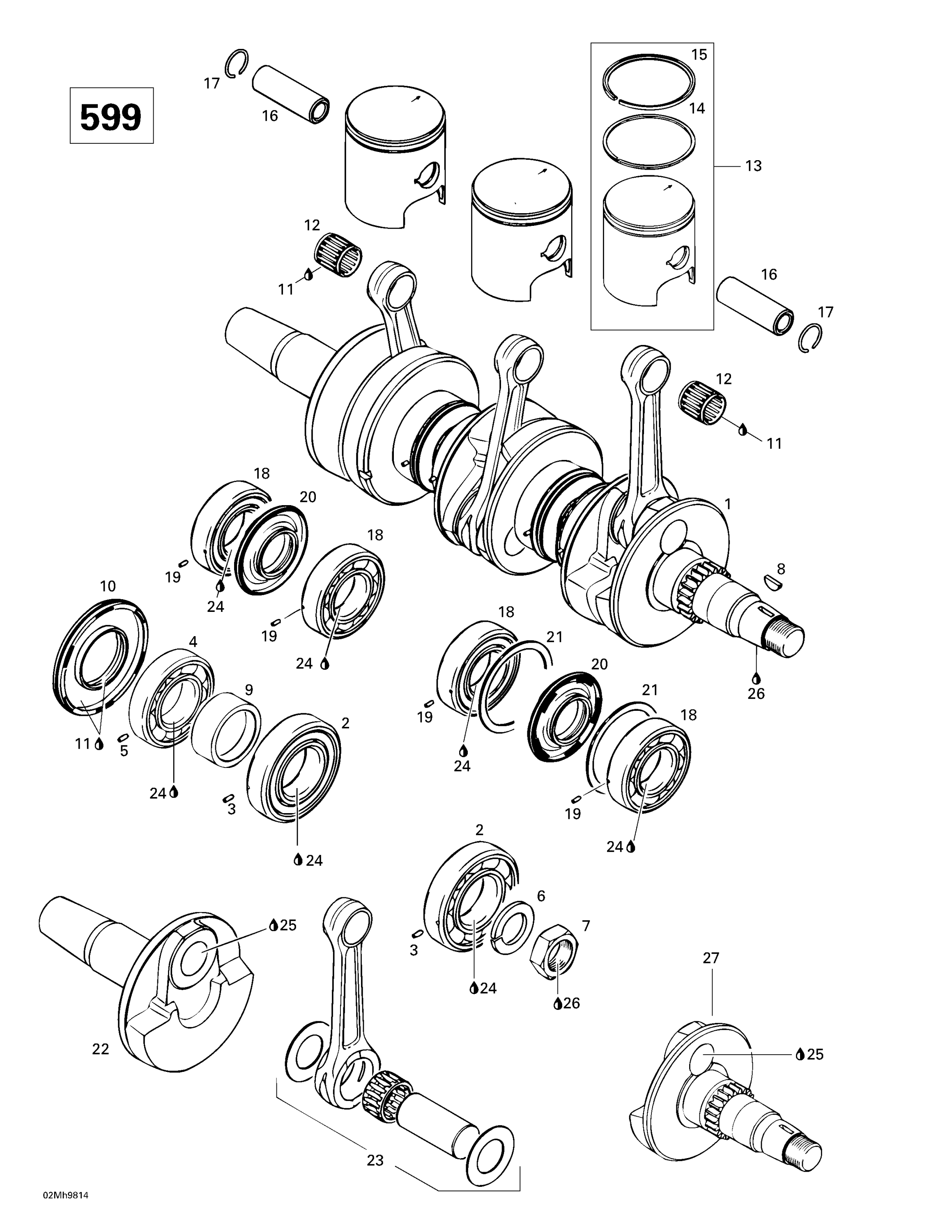 Crankshaft And Pistons (599)