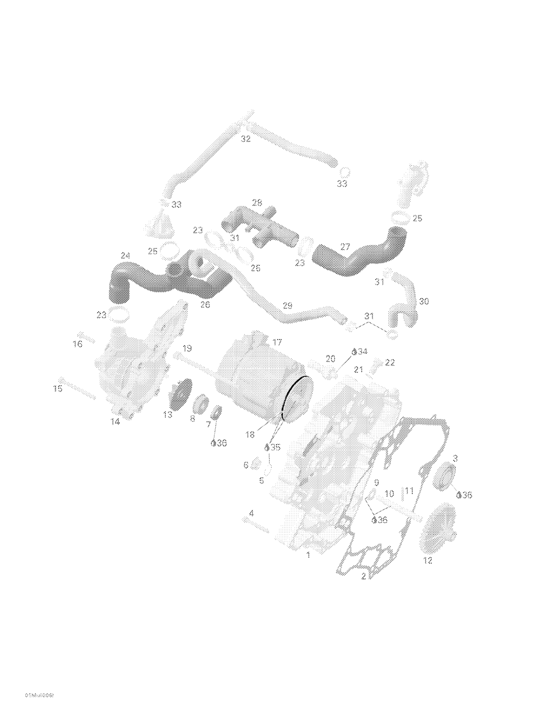 Схема узла: Water Pump, Alternator, Ignition Cover