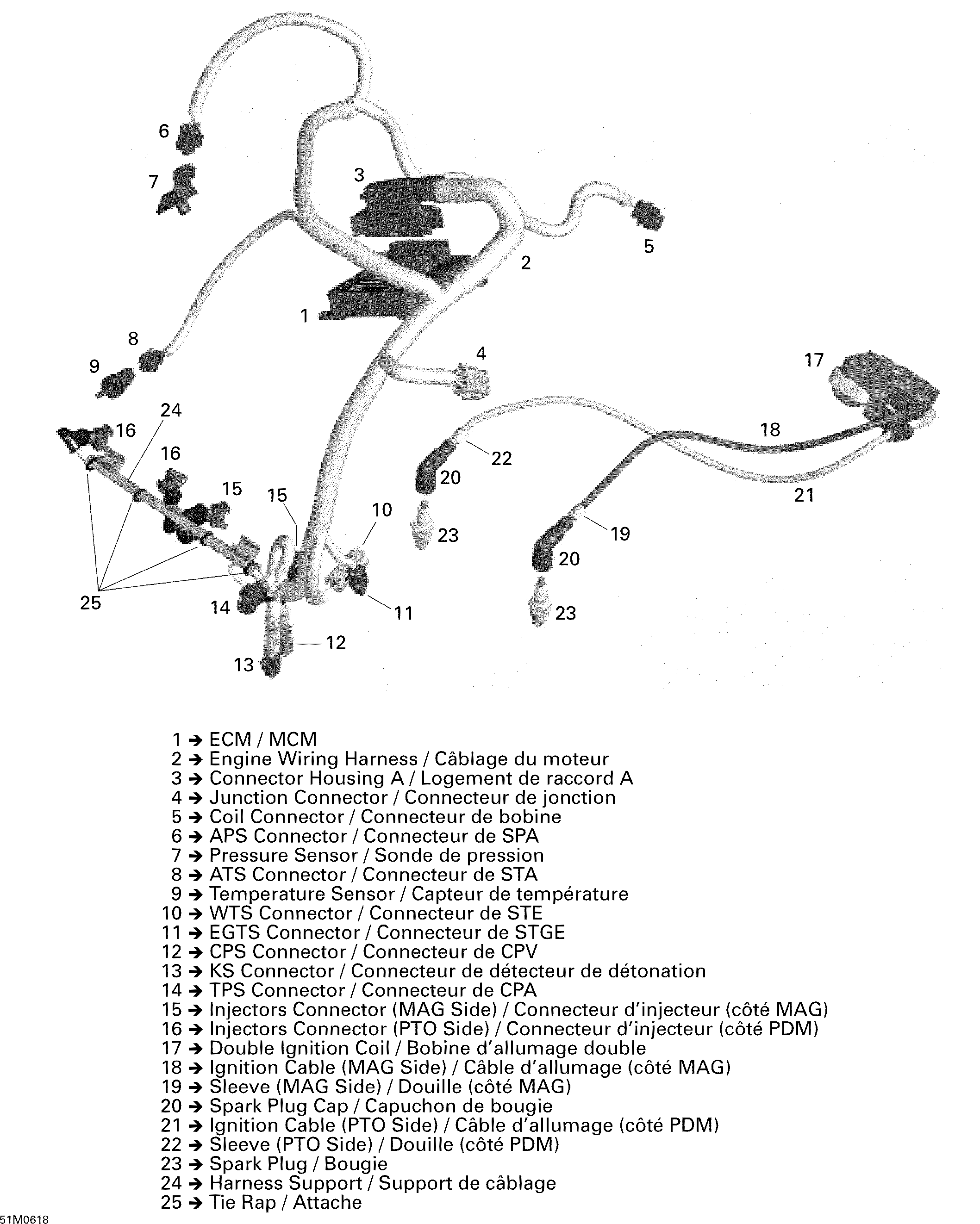 Схема узла: Engine Harness And Electronic Module