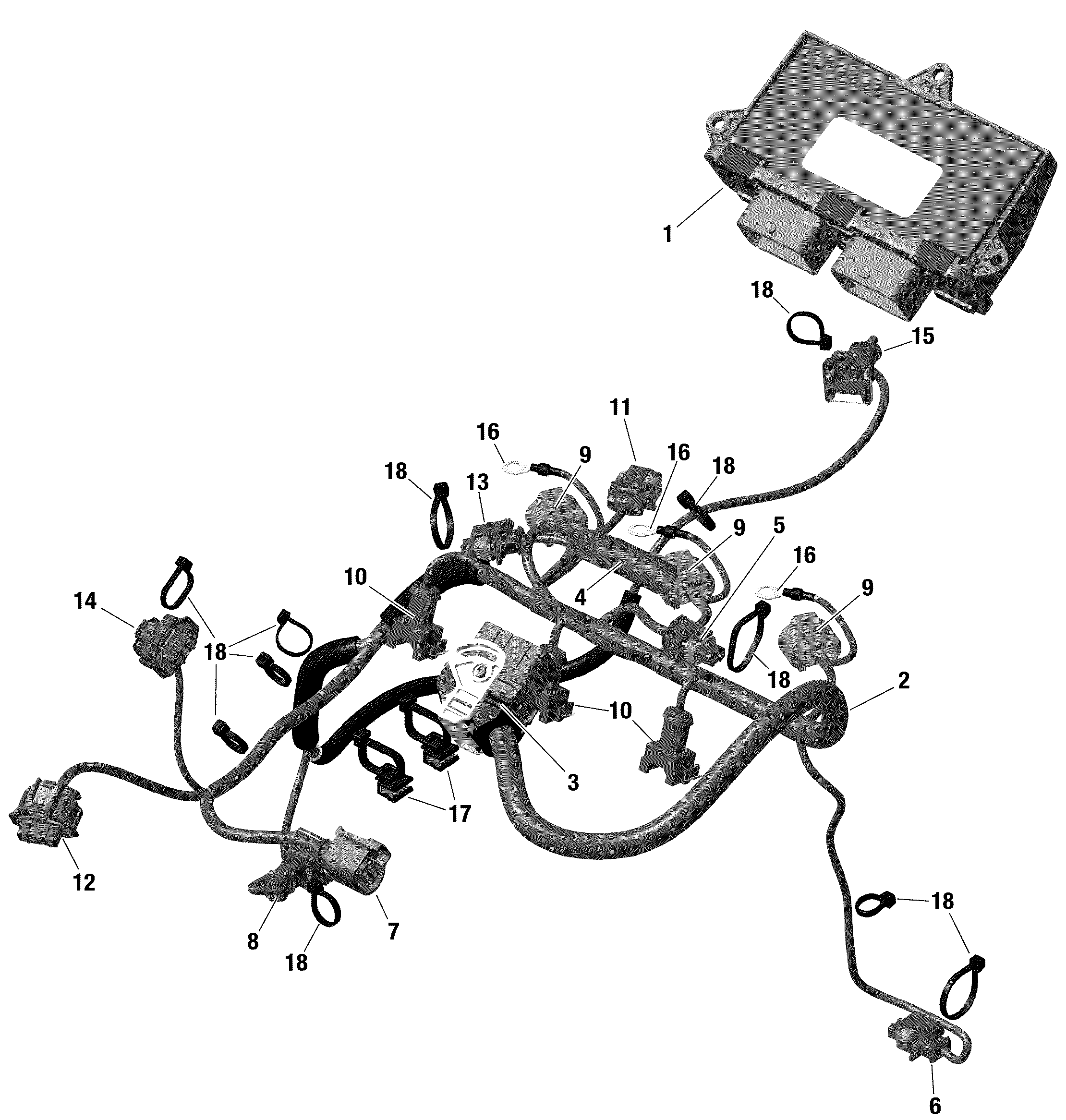 Engine Harness And Electronic Module