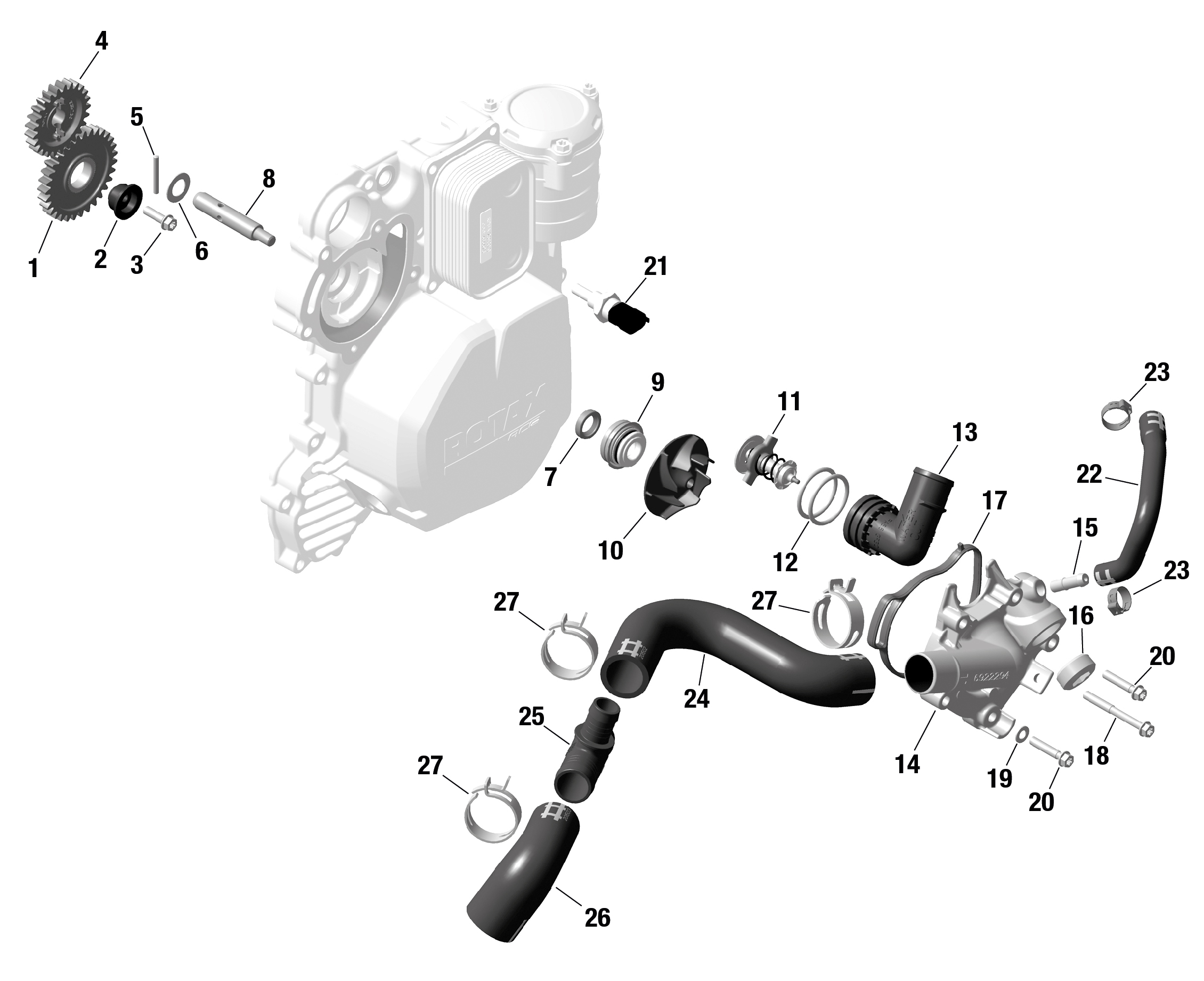 Схема узла: ROTAX - Engine Cooling