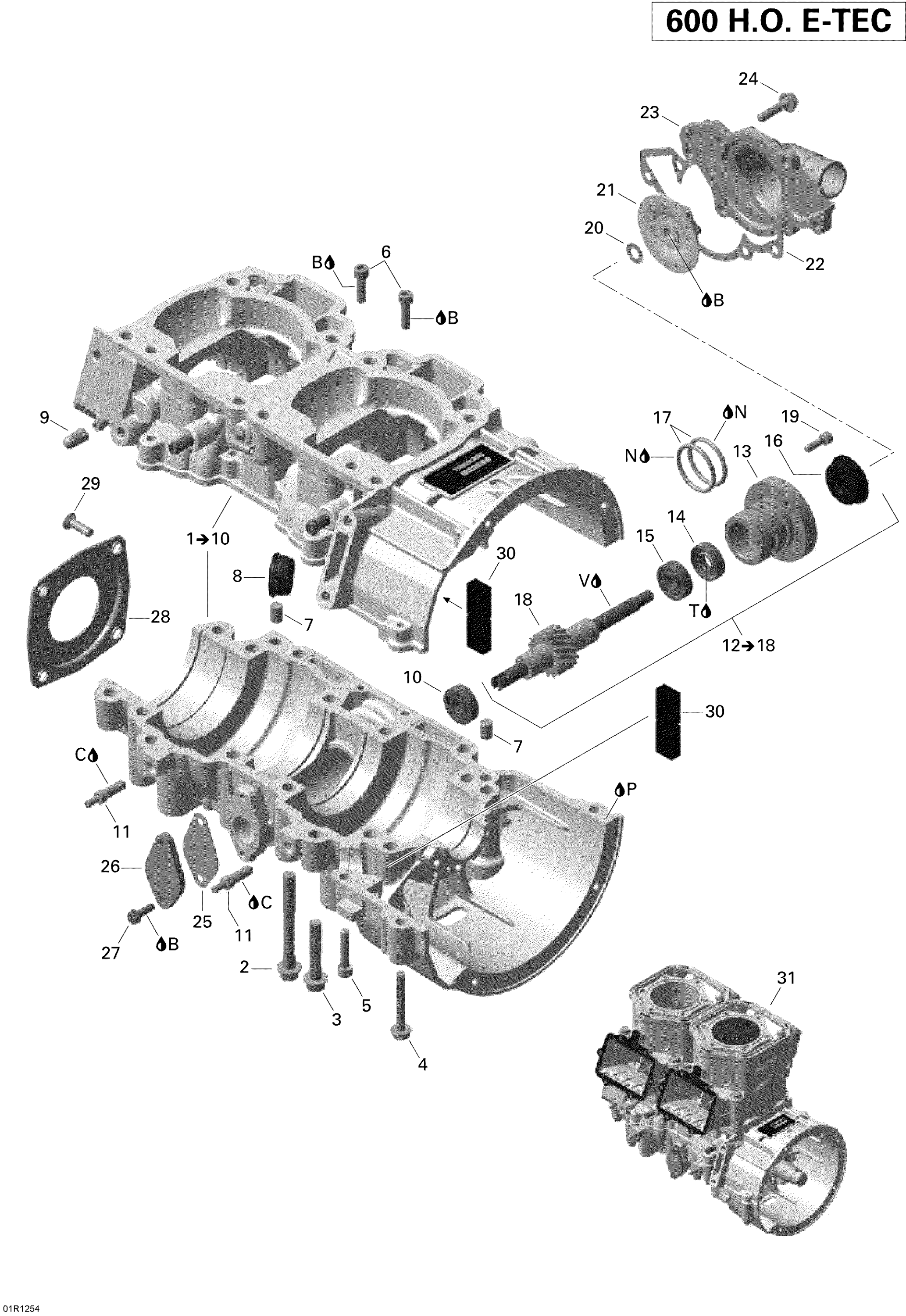 Crankcase And Water Pump