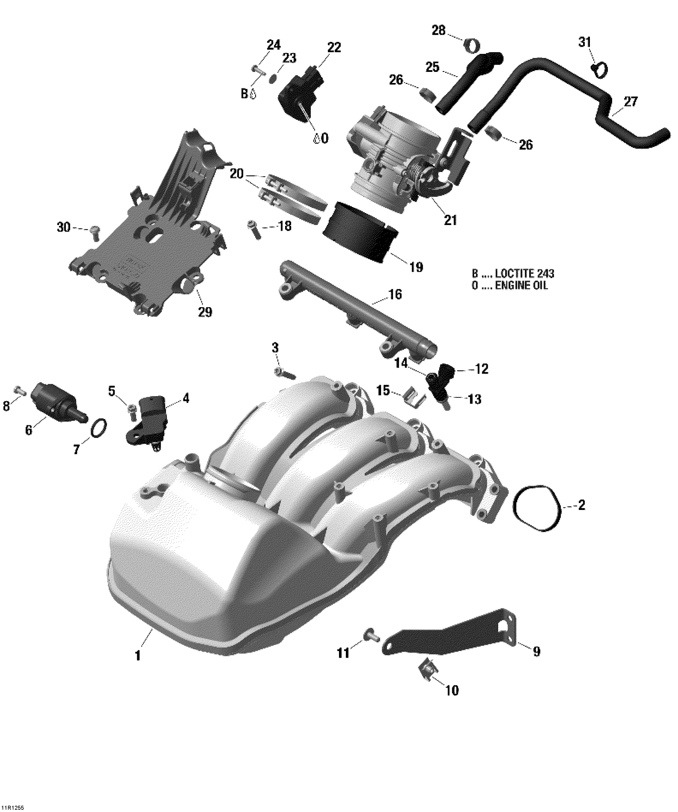 Air Intake Manifold And Throttle Body