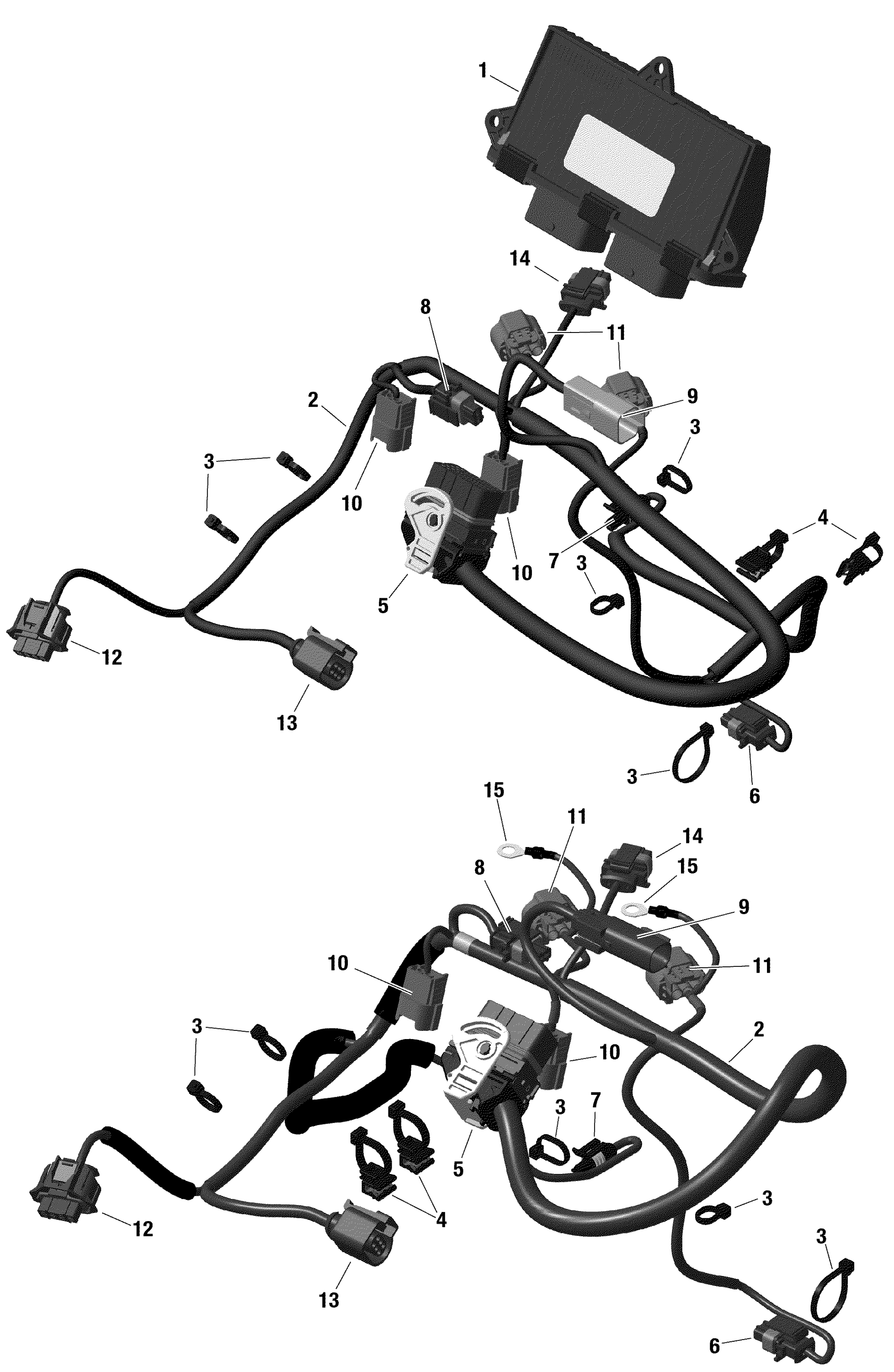 Rotax - Engine Harness And Electronic Module