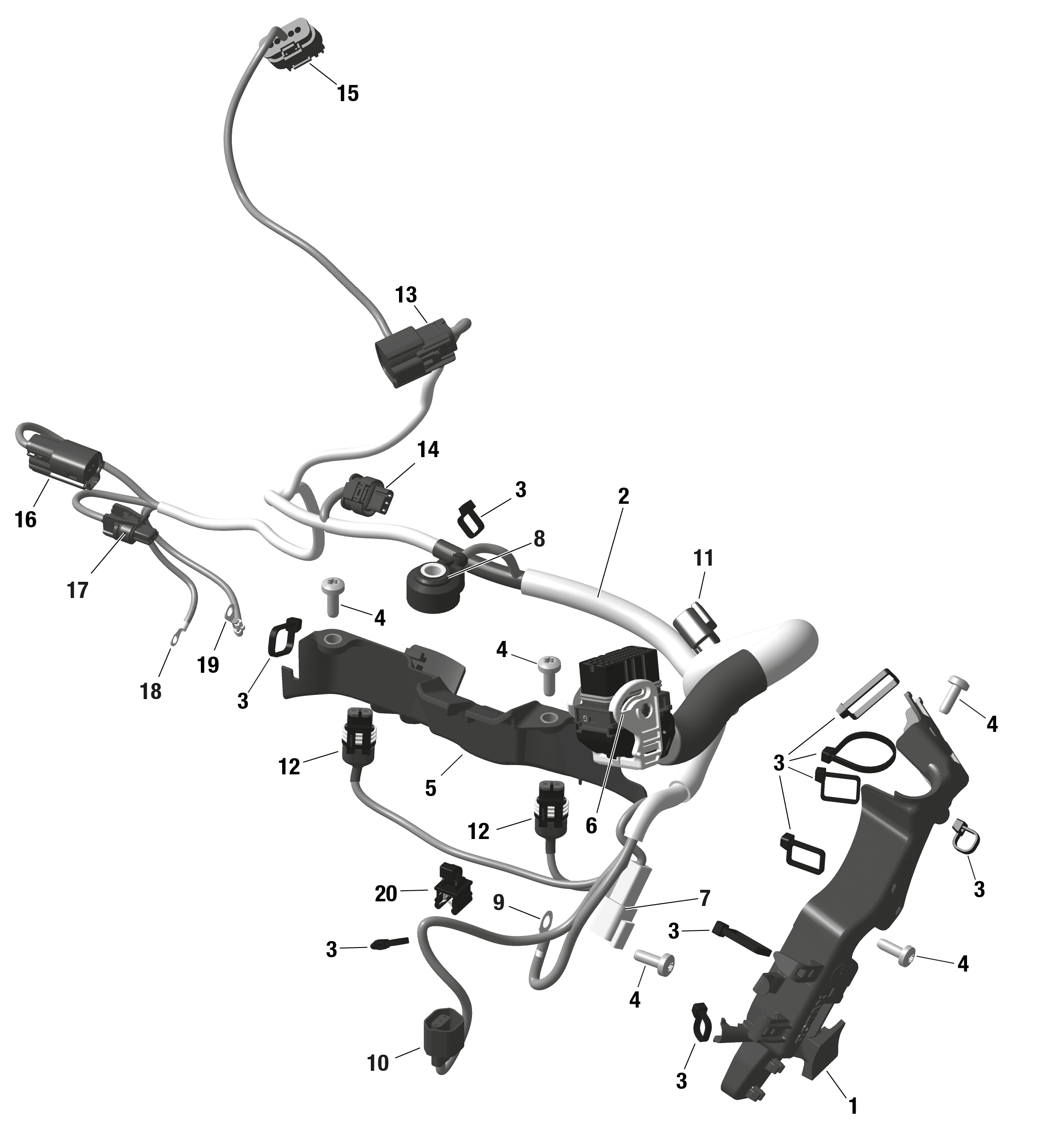 ROTAX - Engine Harness And Electronic Module