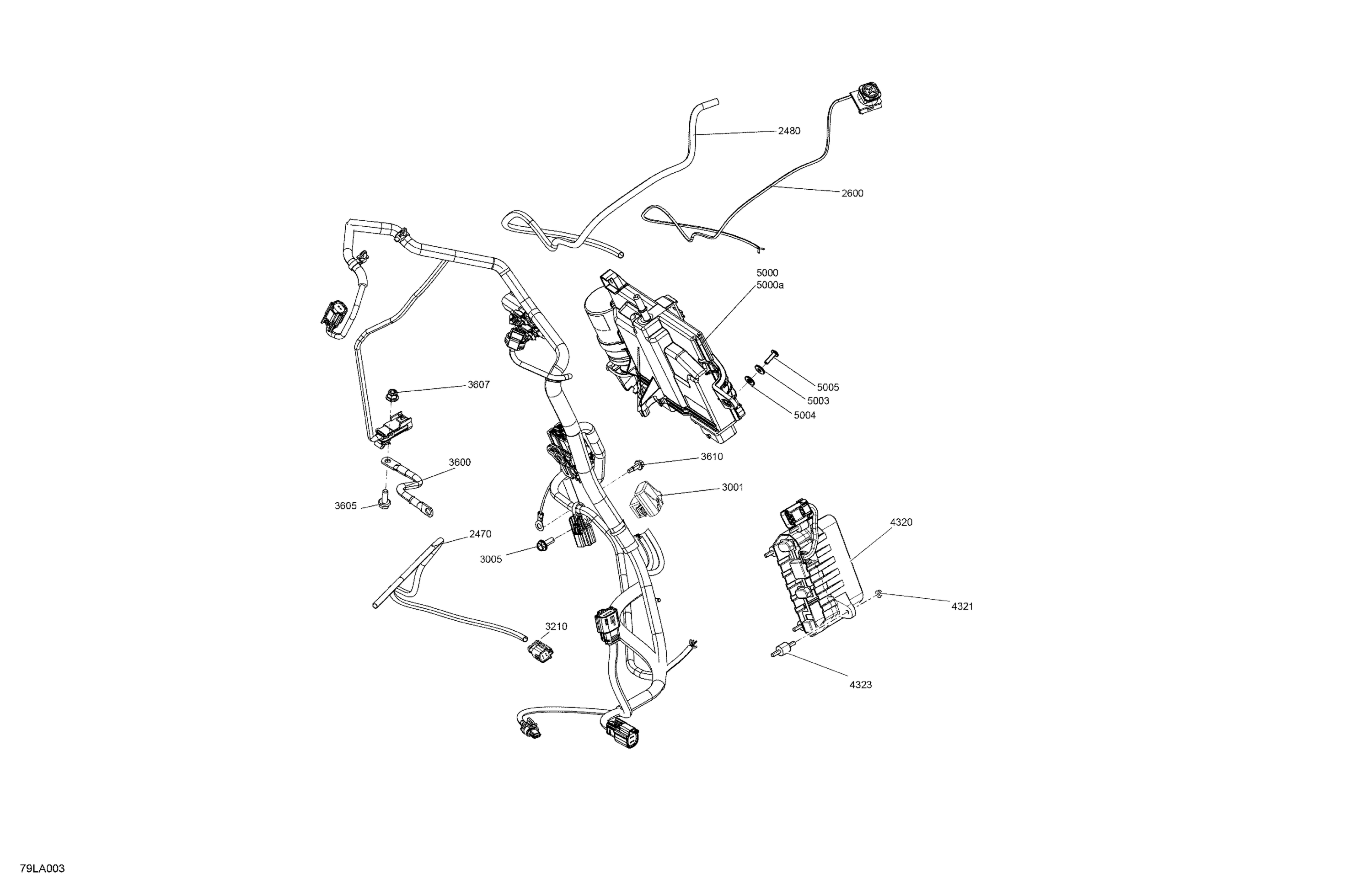 Electric - Lower Section  - DSHOT