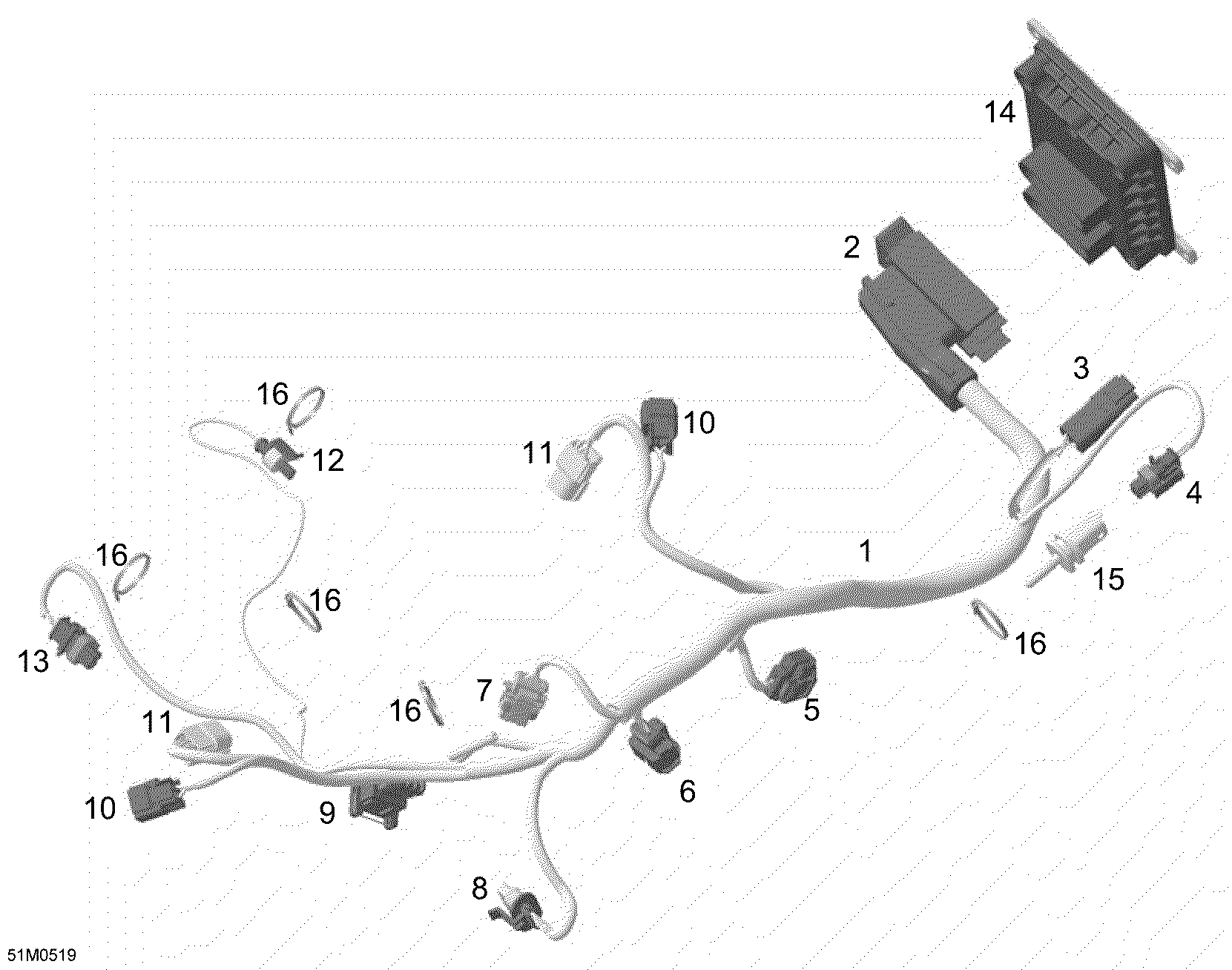 Engine Harness And Electronic Module