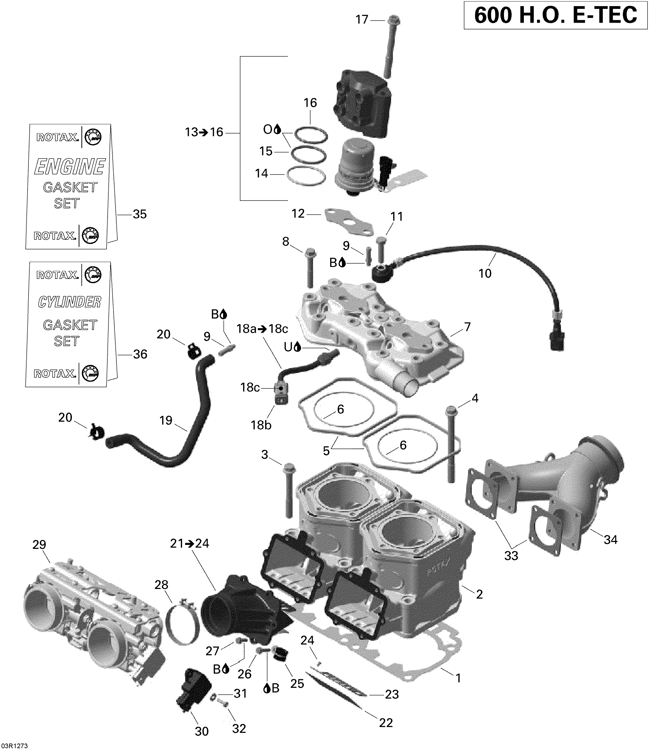 Cylinder And Injection System