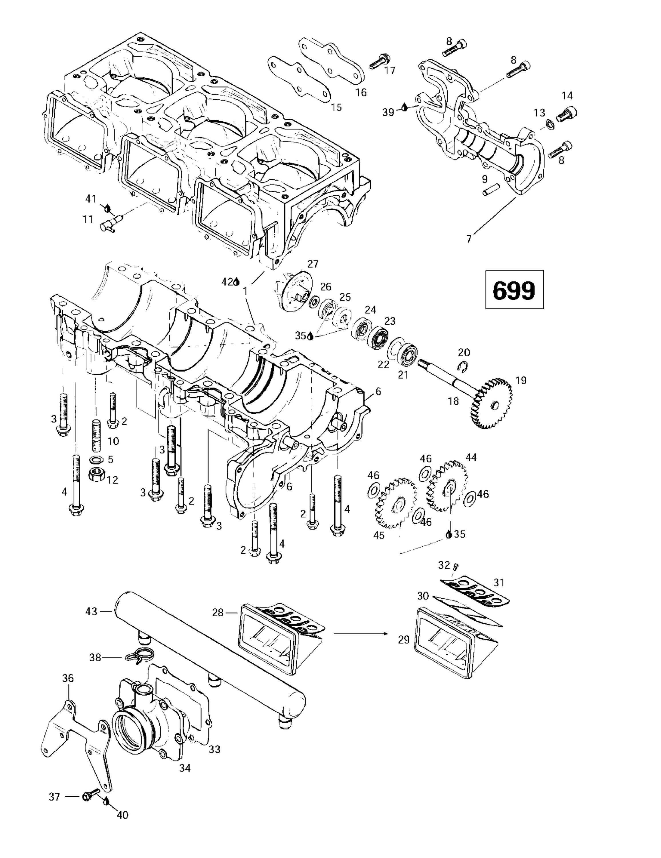 Схема узла: Crankcase, Reed Valve, Water Pump (699)