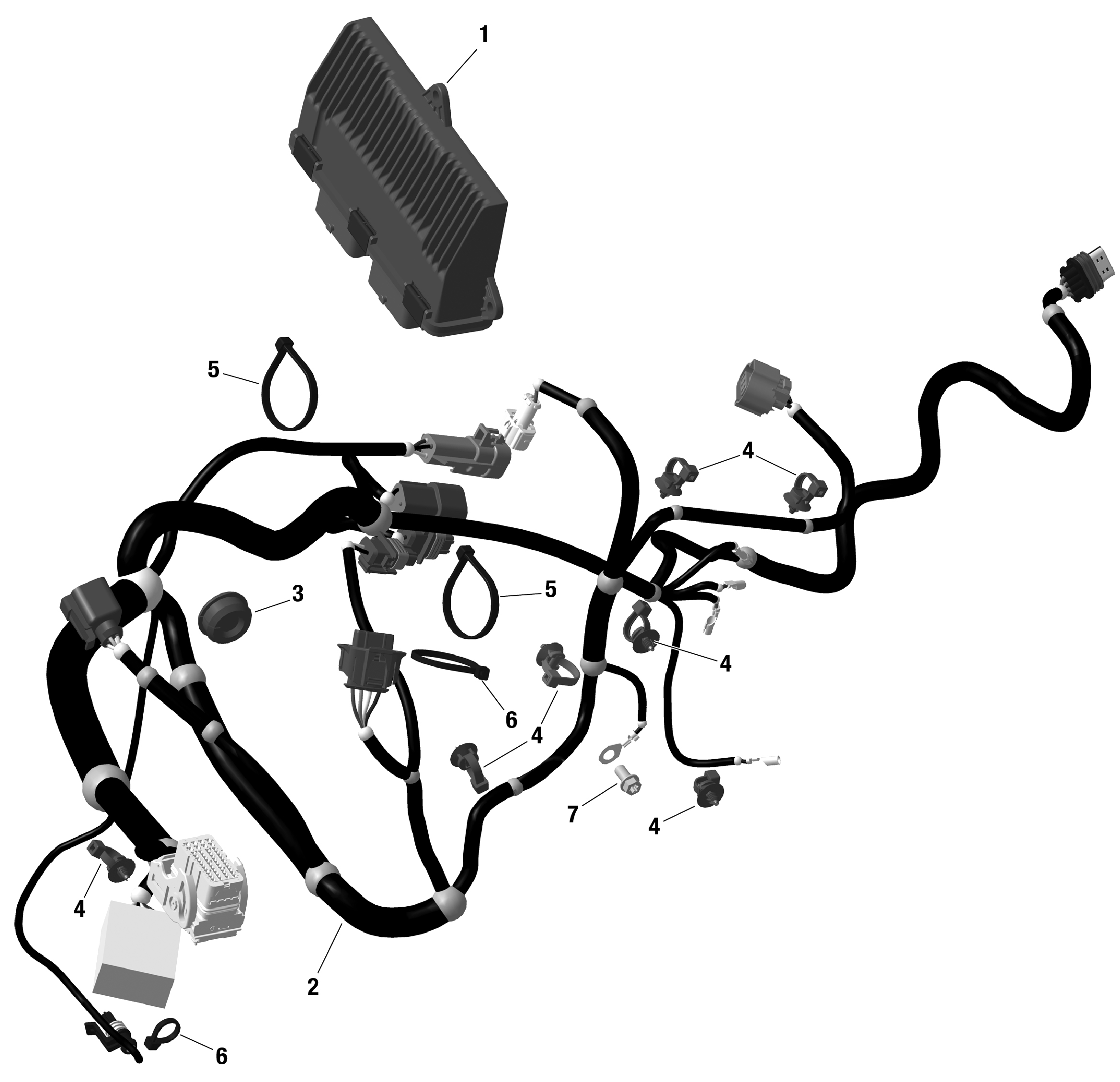 ROTAX - Engine Harness And Electronic Module