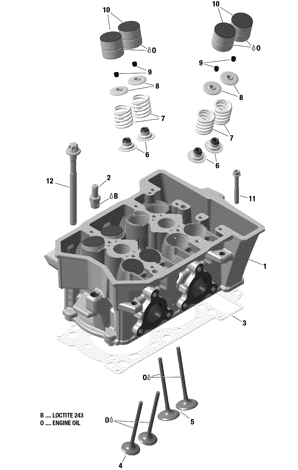 01 ROTAX - Engine - Cylinder Head - 600 ACE