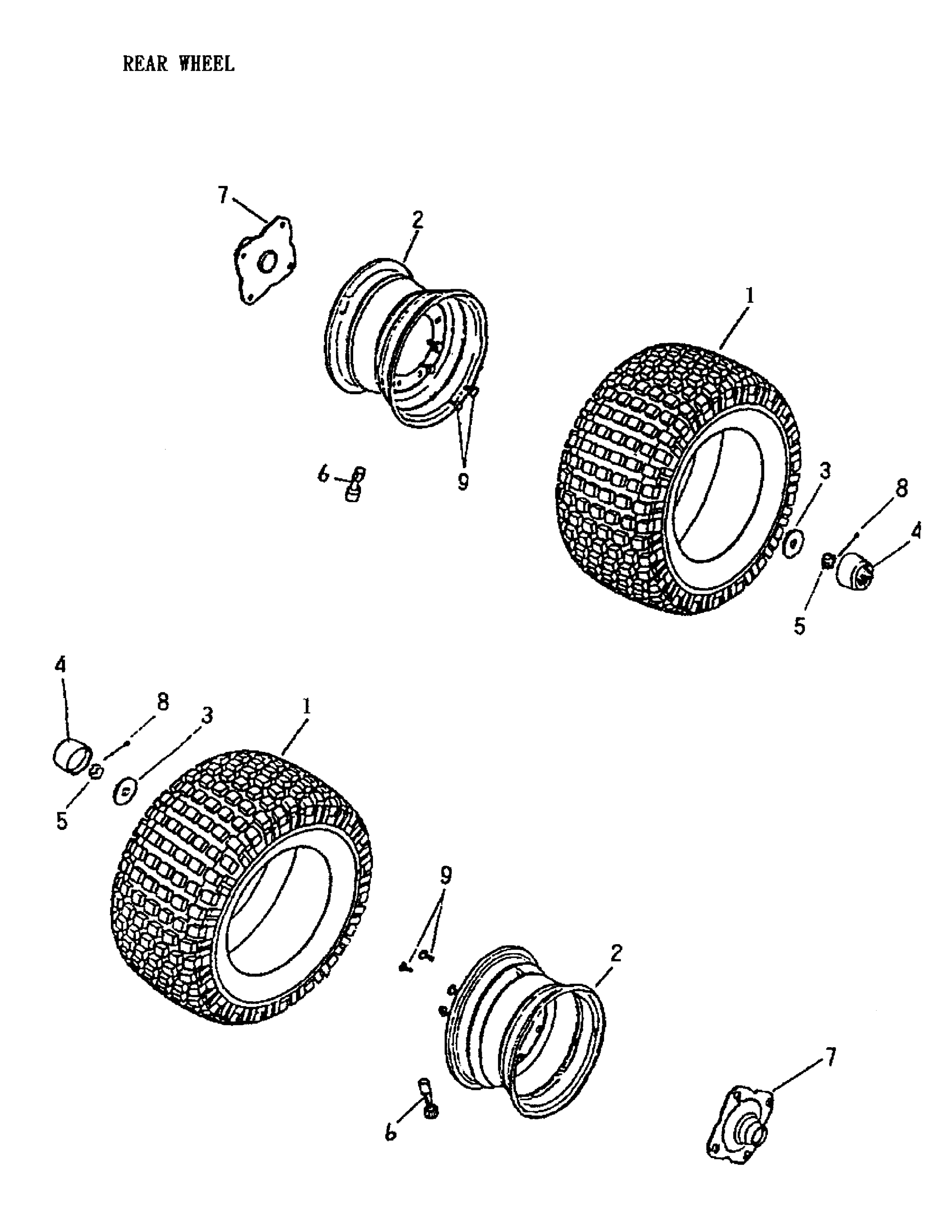 Rear Wheel