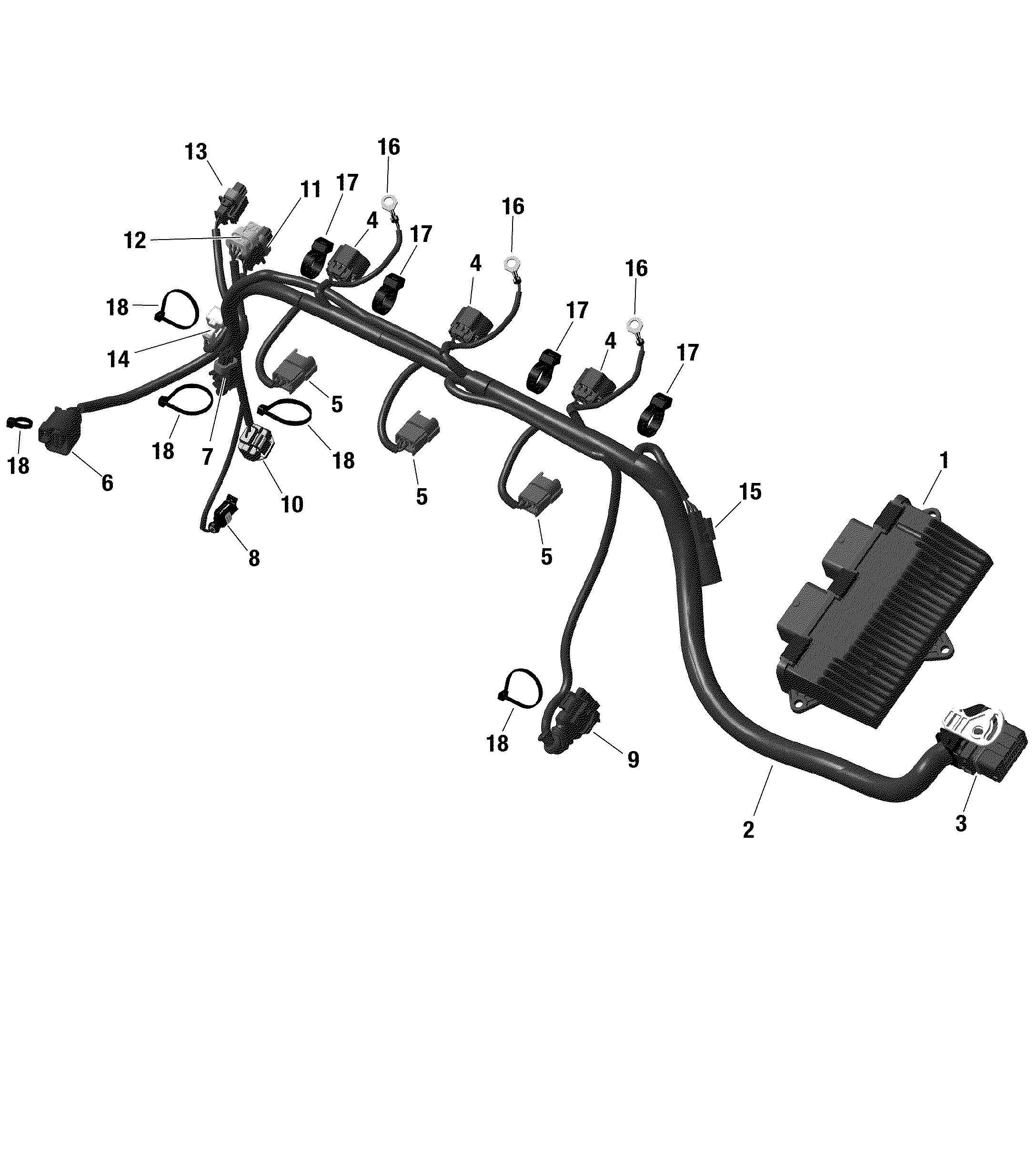 Electric - Engine Harness -  1630 SCIC